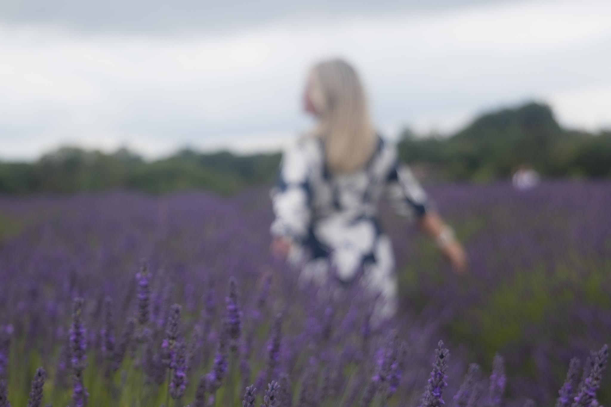 In Harmony with Nature. Natalja Poplavska — Visual artist, Photographer, East Sussex, London