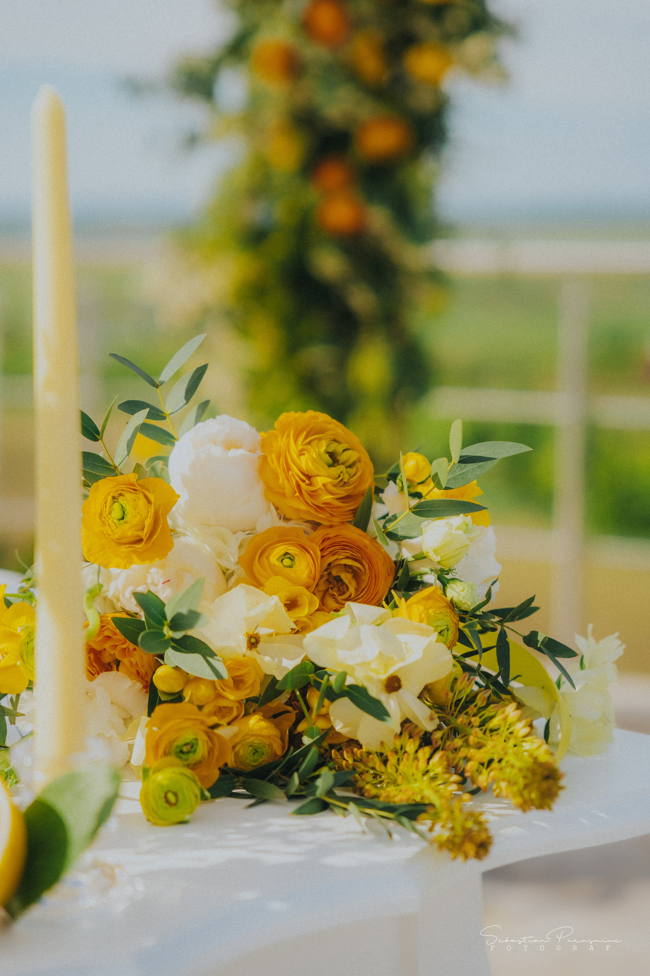 Love & Lemons. Sebastian Purusniuc Fotograf - Iasi