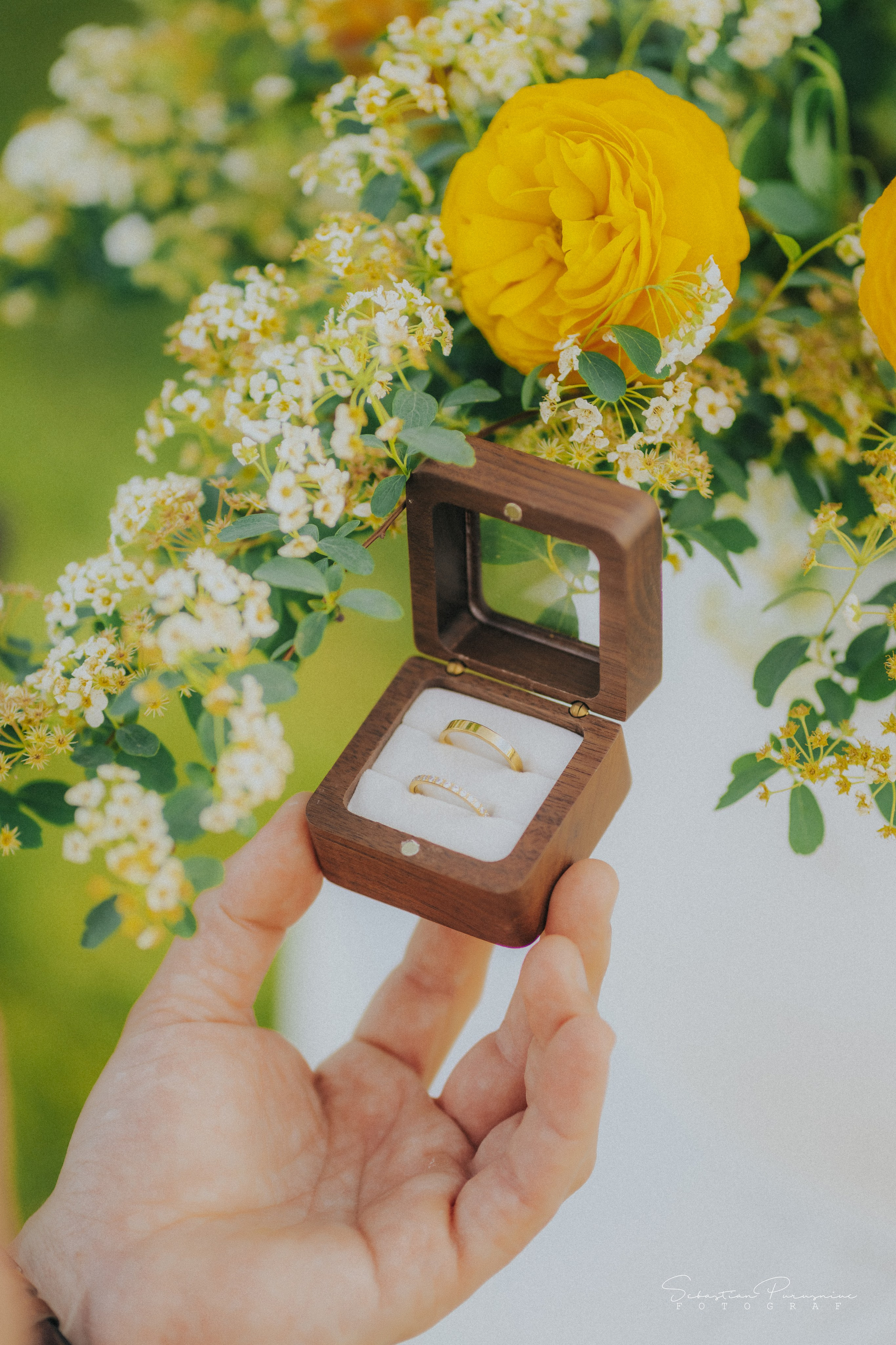 Love & Lemons. Sebastian Purusniuc Fotograf - Iasi