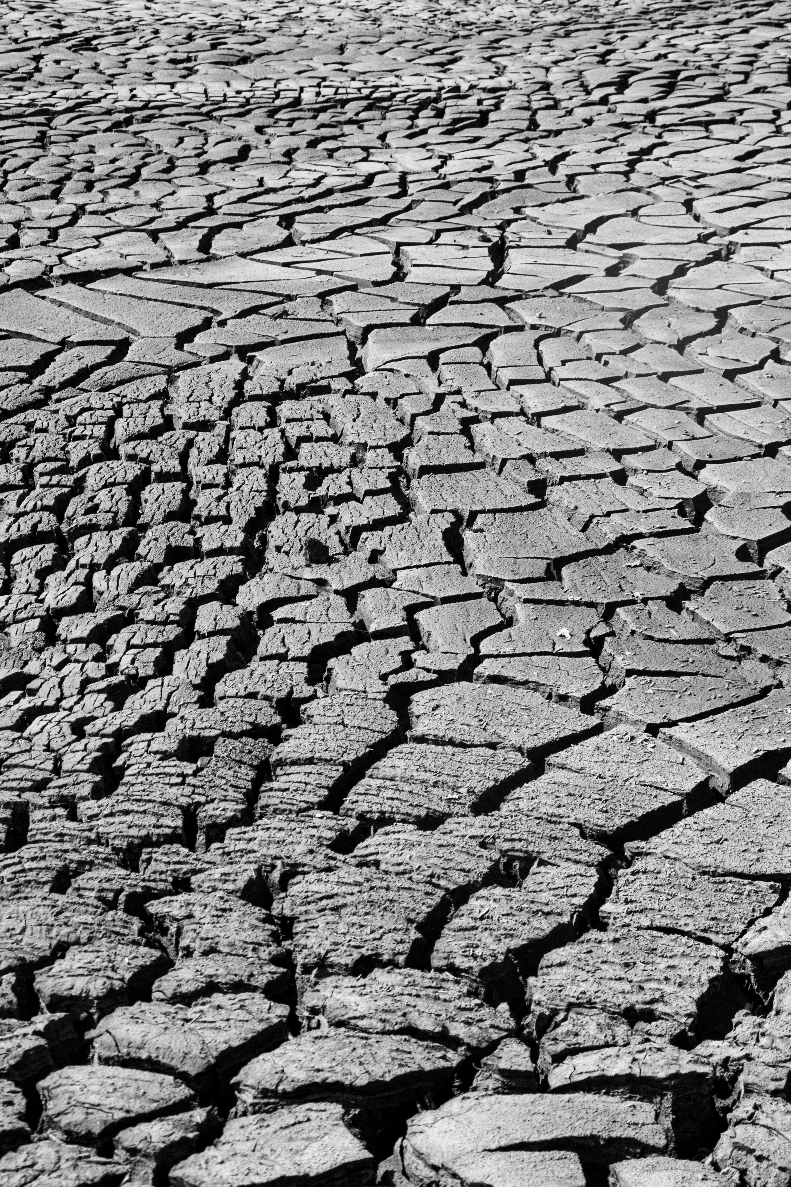 Mozambique. Photo reporter français basé à Paris