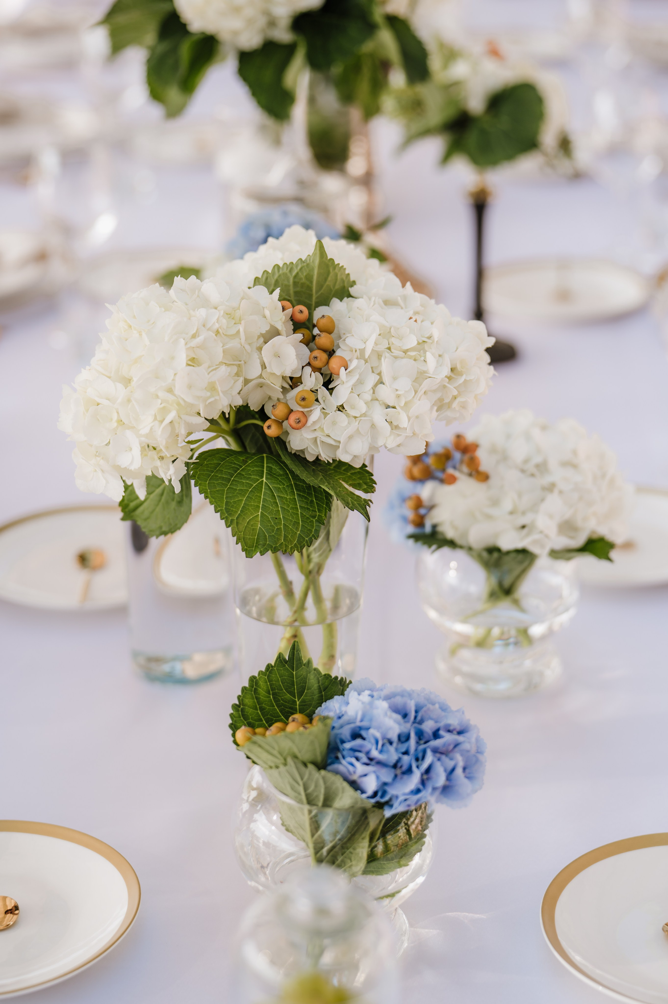 Fotografisanje vencanja. Bojana Žuža fotograf u Beogradu 📷 Belgrade photographer