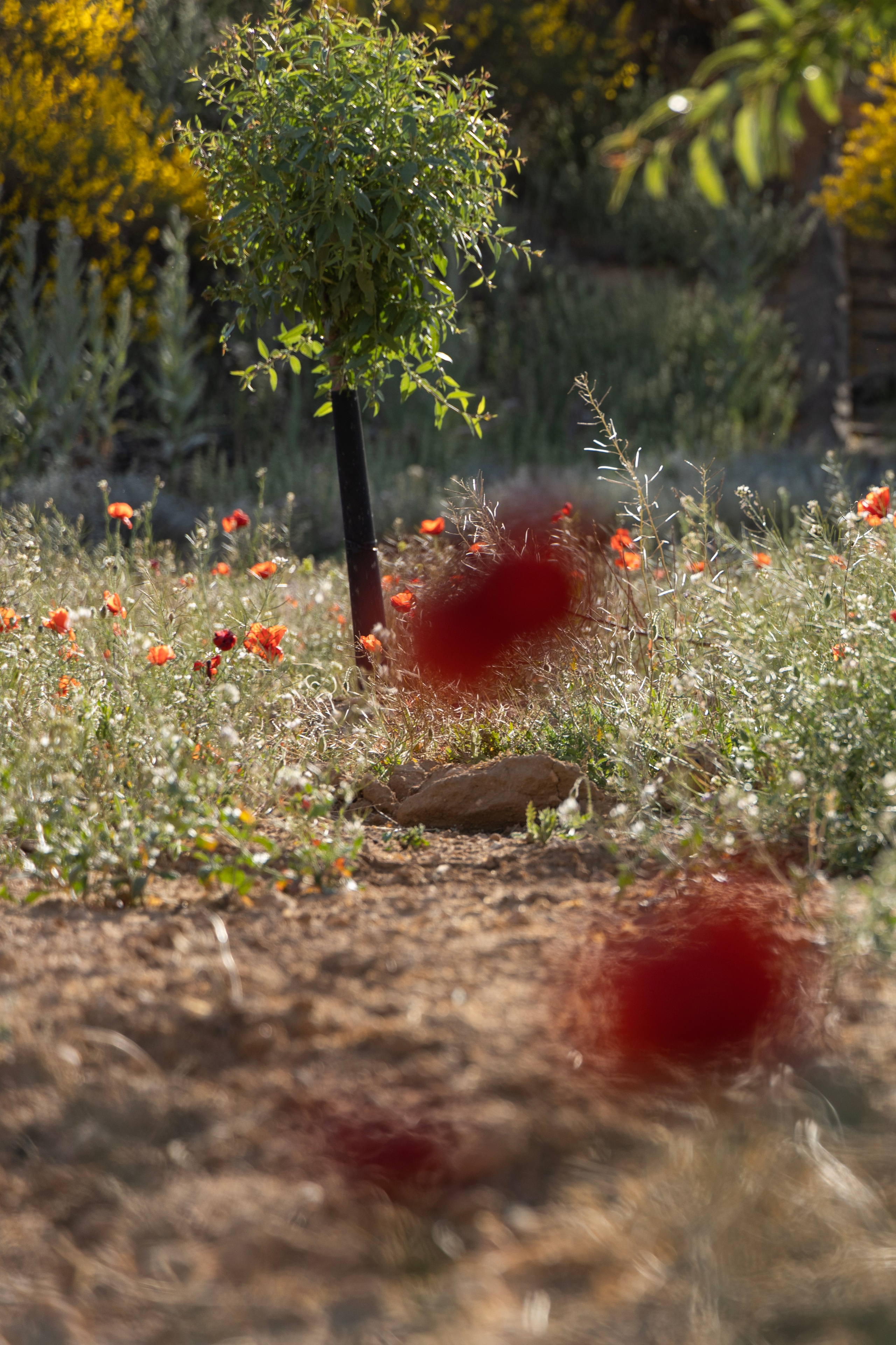 Director, Photographer and Artist in Valencia Natasha Bogomolova