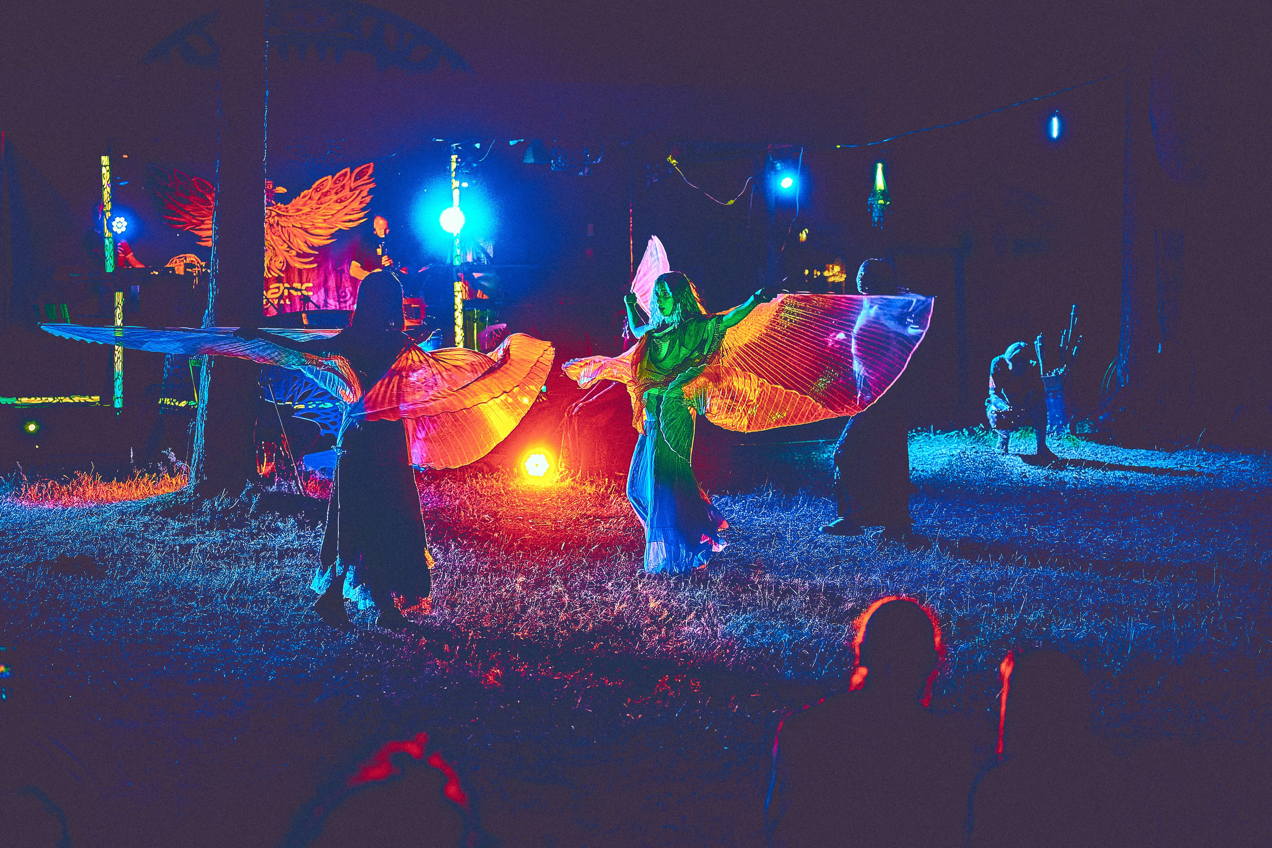 Organic-2025. Andriej Szypilow — Photography & Videography