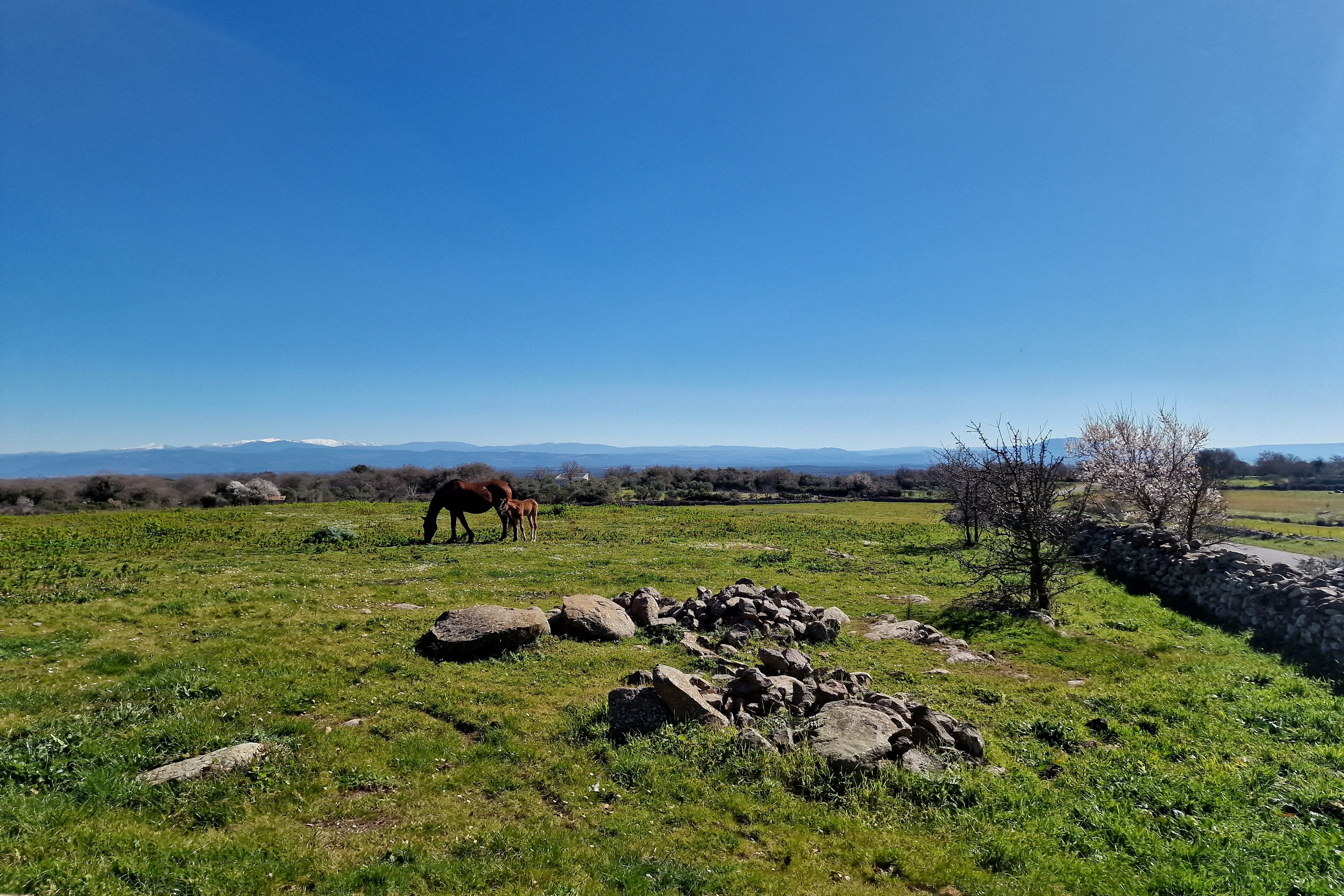Paesaggi. Olga Manukhina fotografo in Sardegna