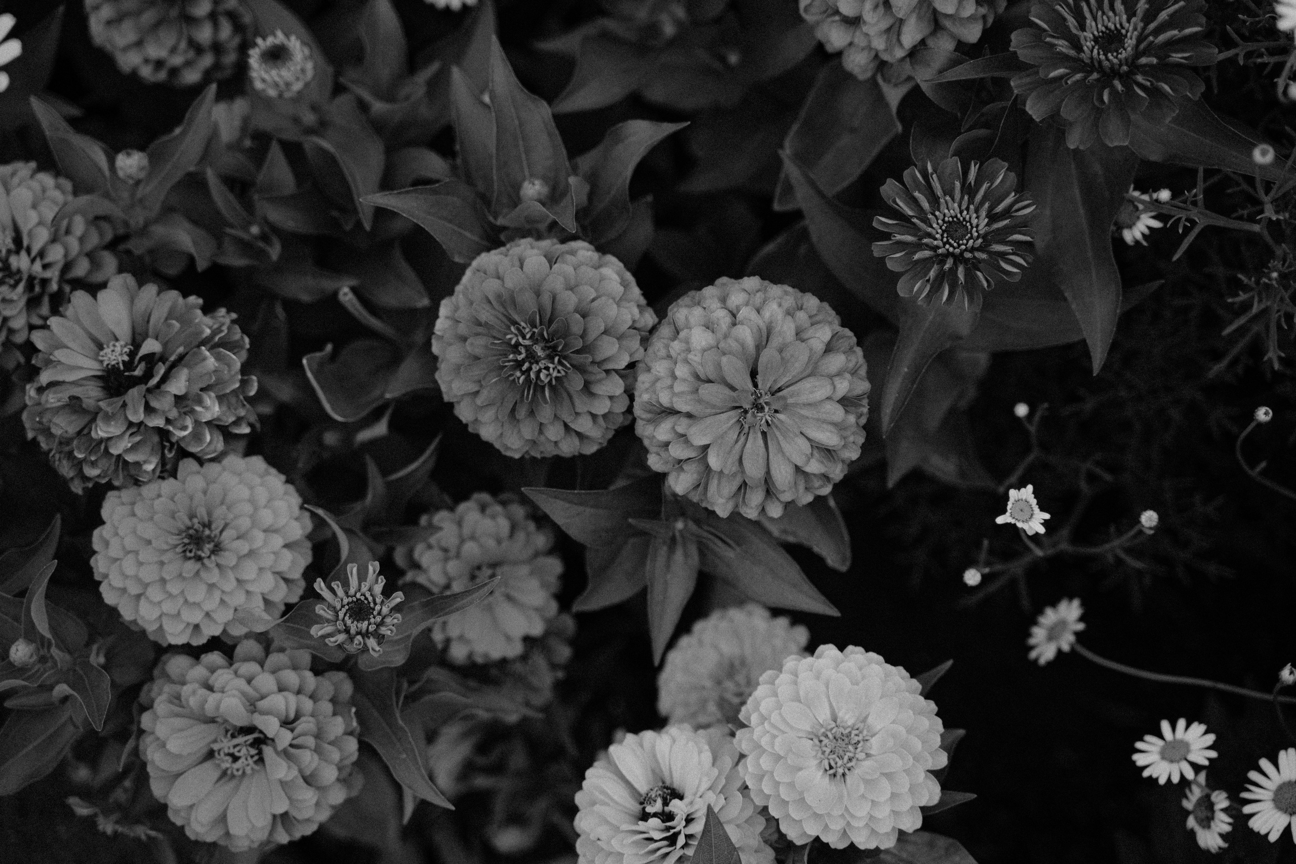 Authentische und emotionale Familienfotos in Landshut und Umgebung