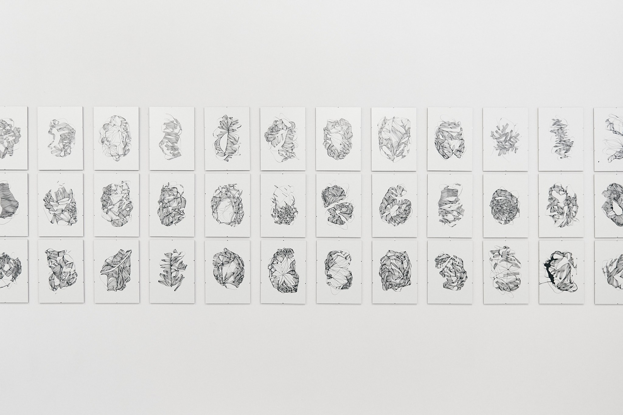 Kristine Tumanyan, kunstenaar Nederland, Roermond, Heerlen, Limburg. Meditative line art. Armenie