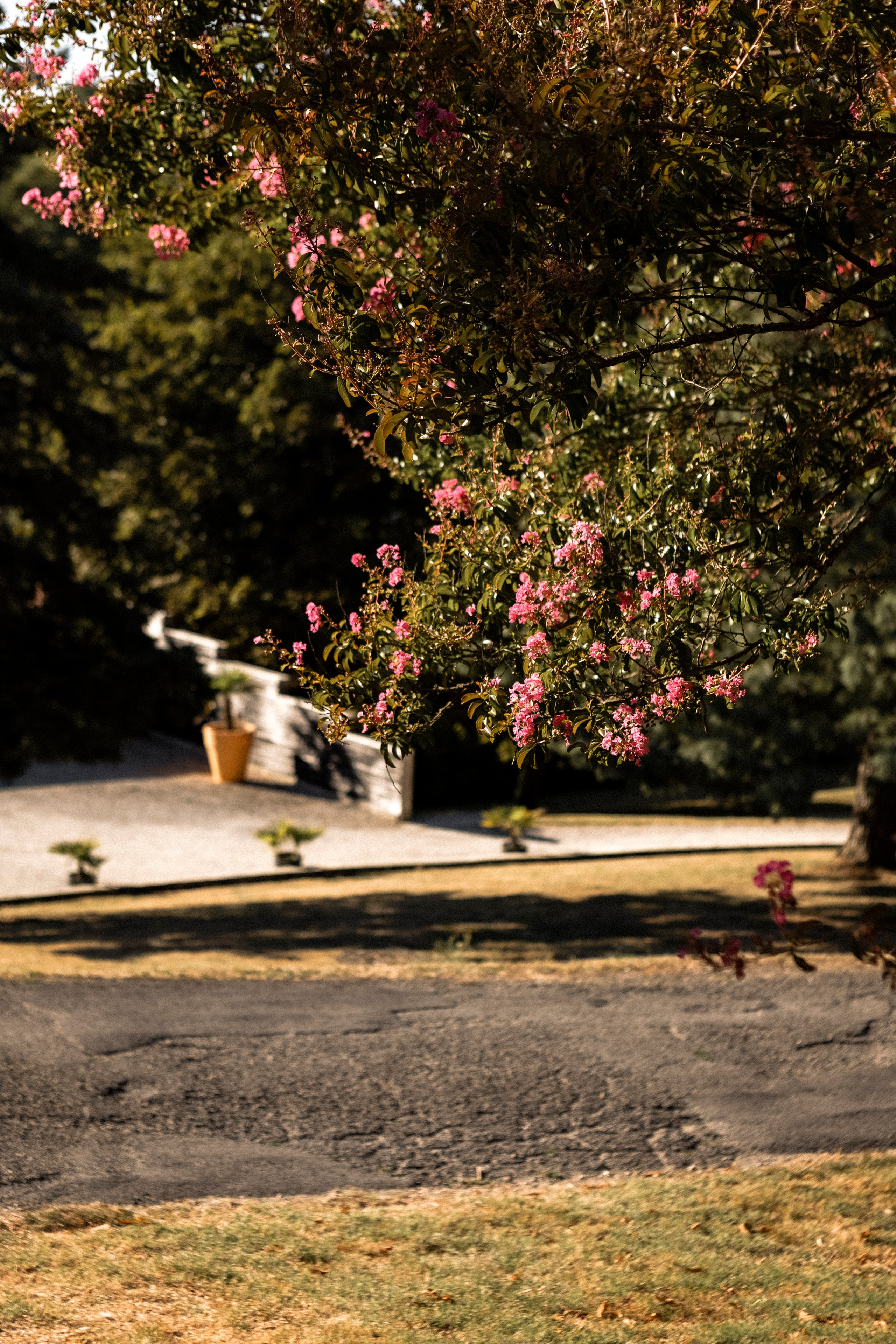 Mariage au Château de Loubéjac. Eugénie Smirnova — Photographe à Toulouse et dans le Sud-Ouest