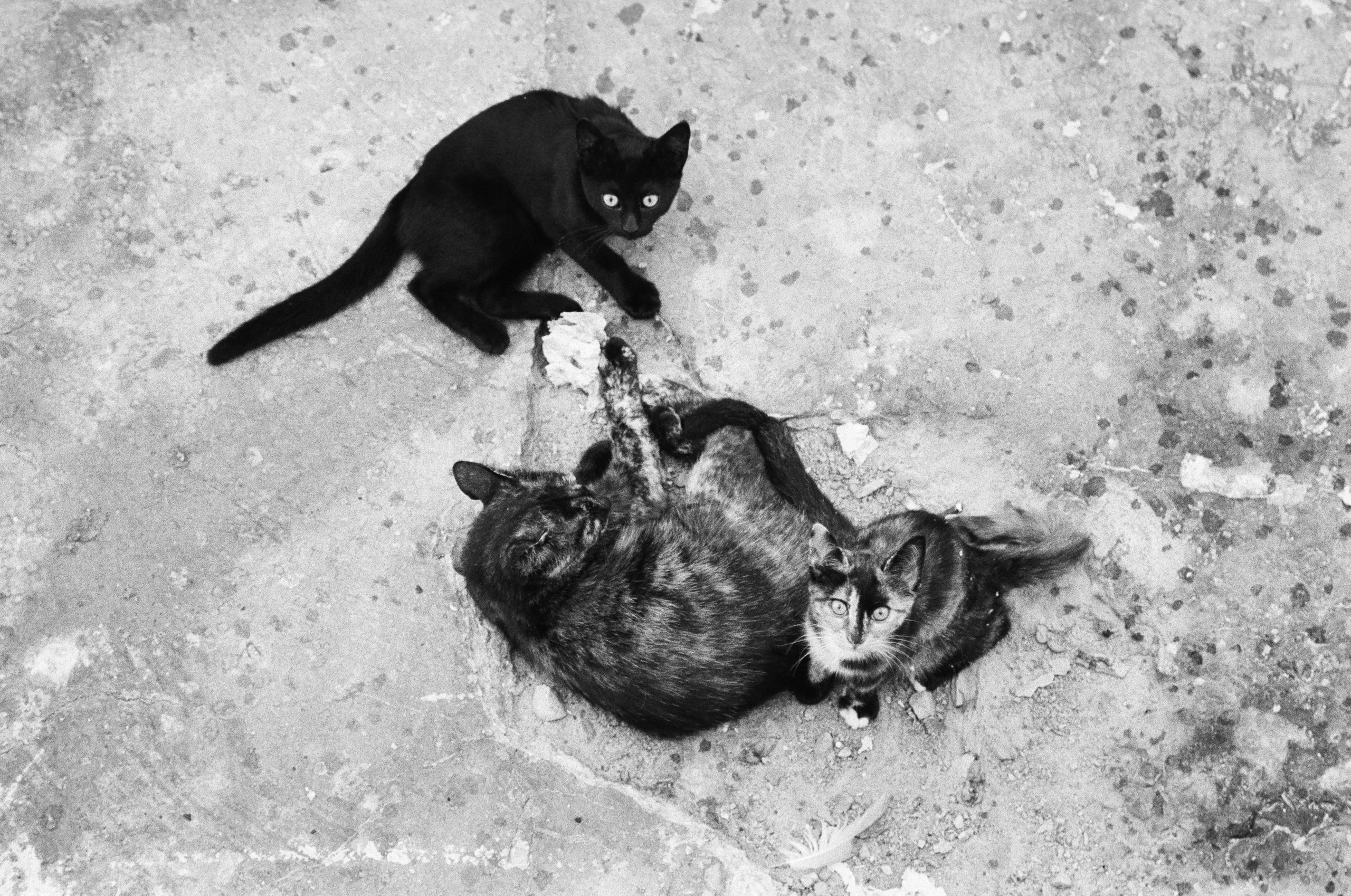 Istanbul - eine Stadt, die jenseits der Zeit lebt