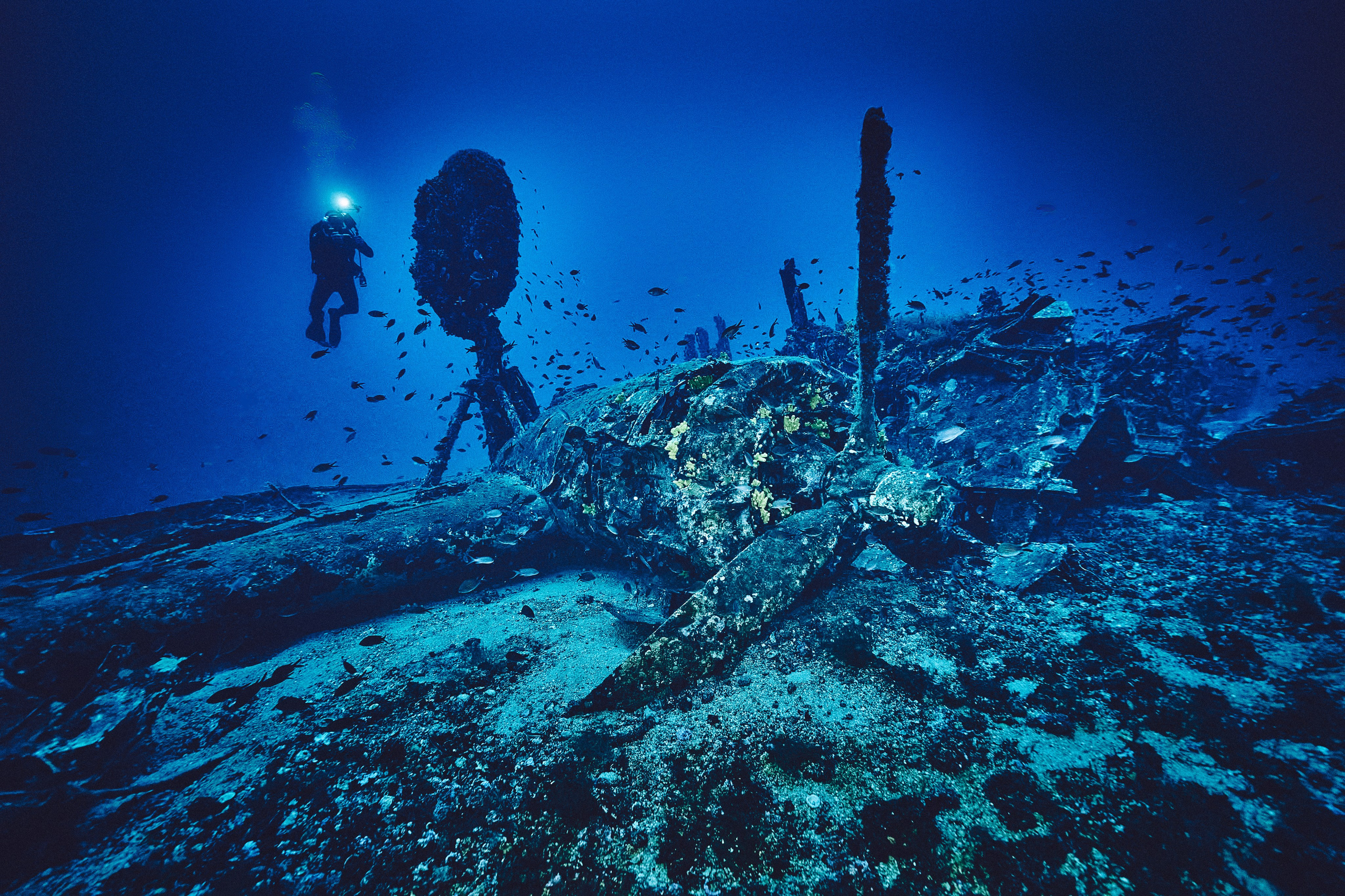 Wrak samolotu B-24 Liberator. Andriej Szypilow — Photography & Videography