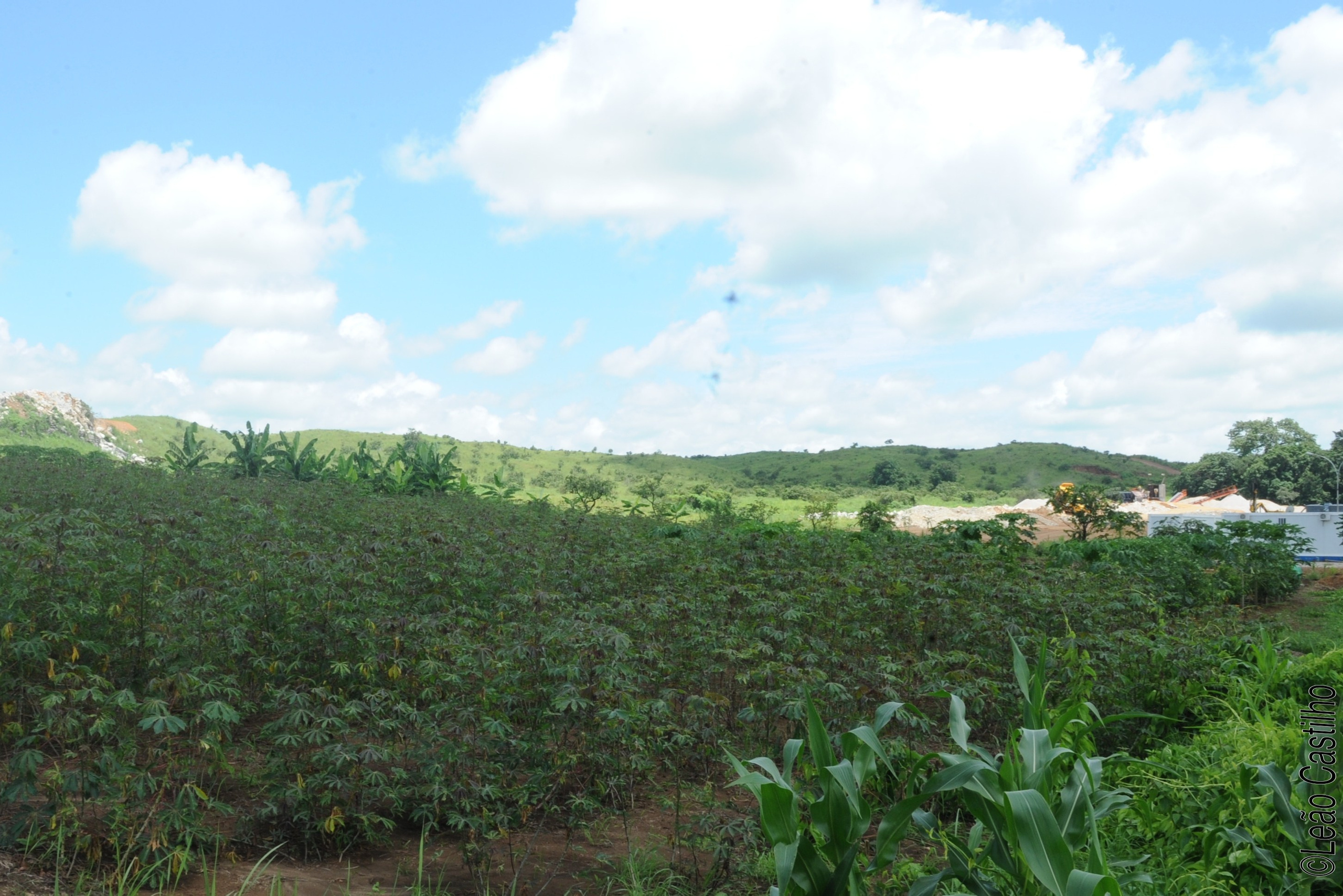 Photos of agriculture for the people of Muindi project. Simbahalu