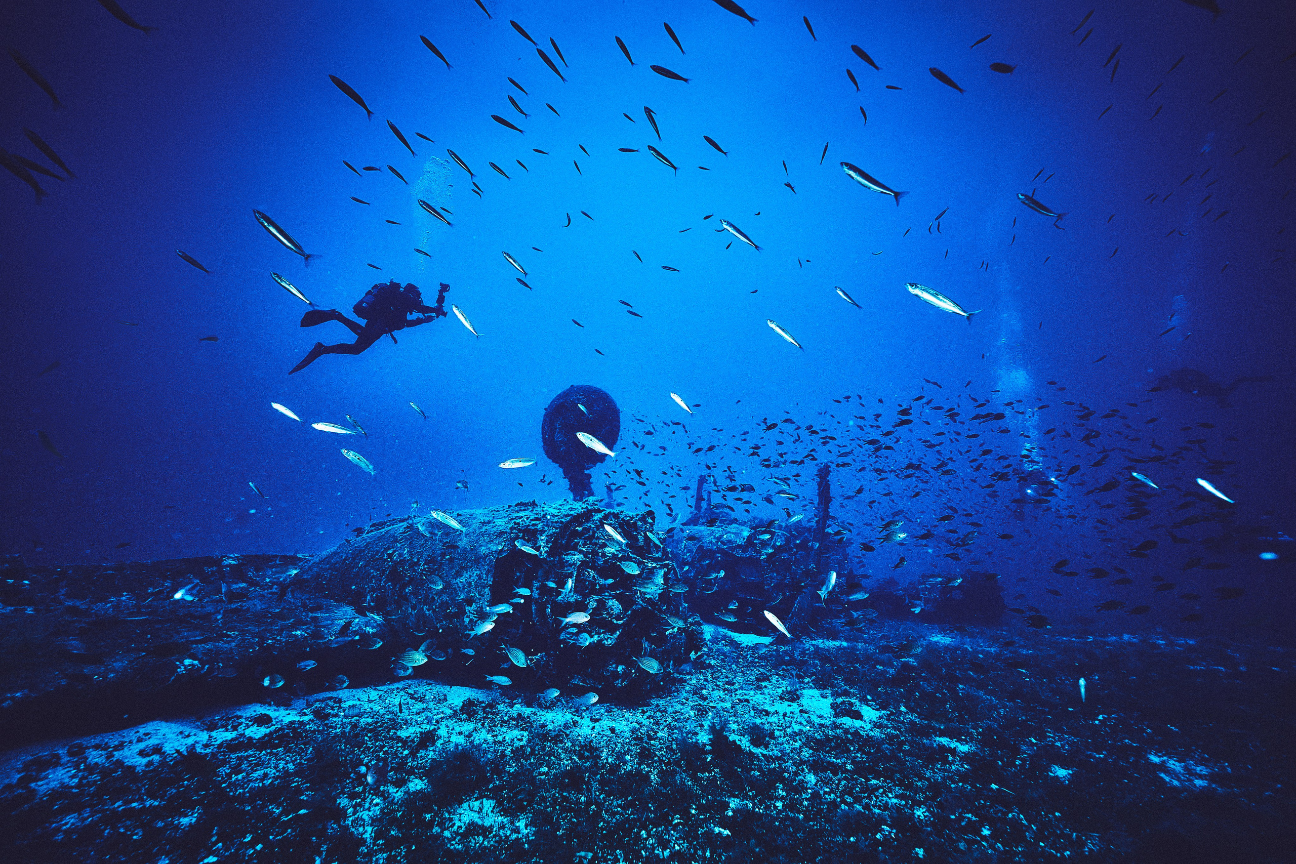 Wrak samolotu B-24 Liberator. Andriej Szypilow — Photography & Videography