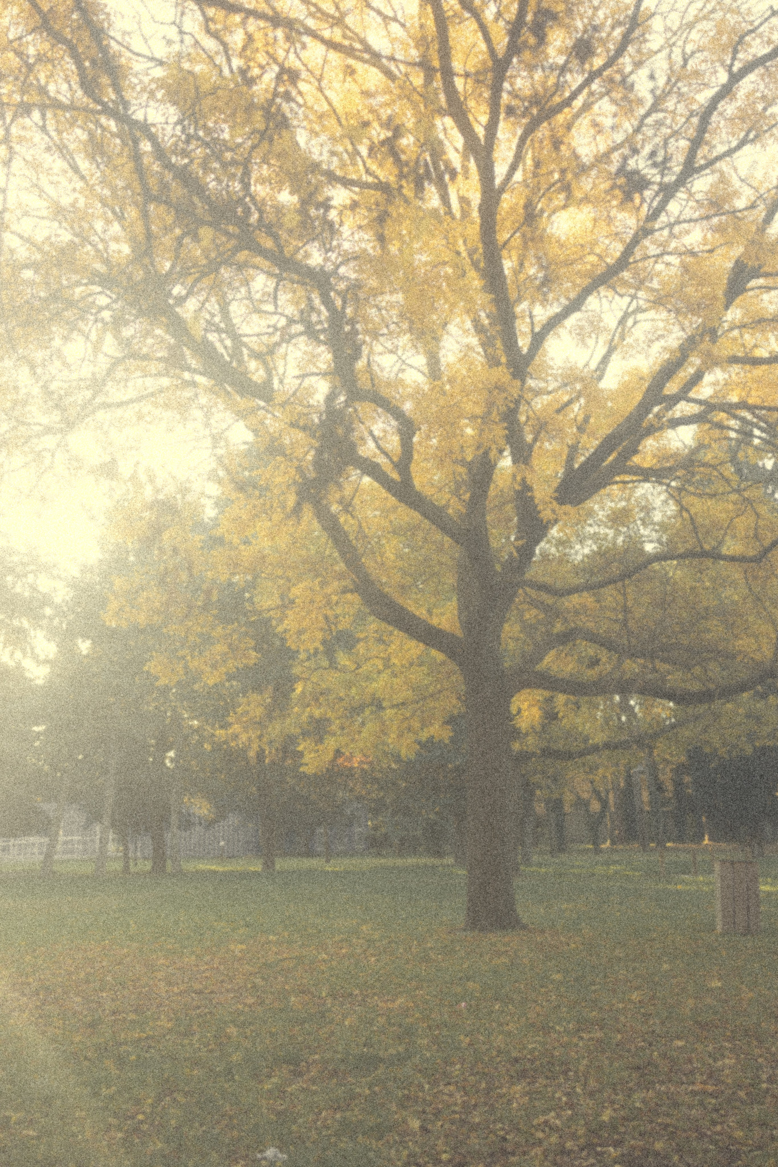Histoires d’amour, séances photos de famille et de mariage en France