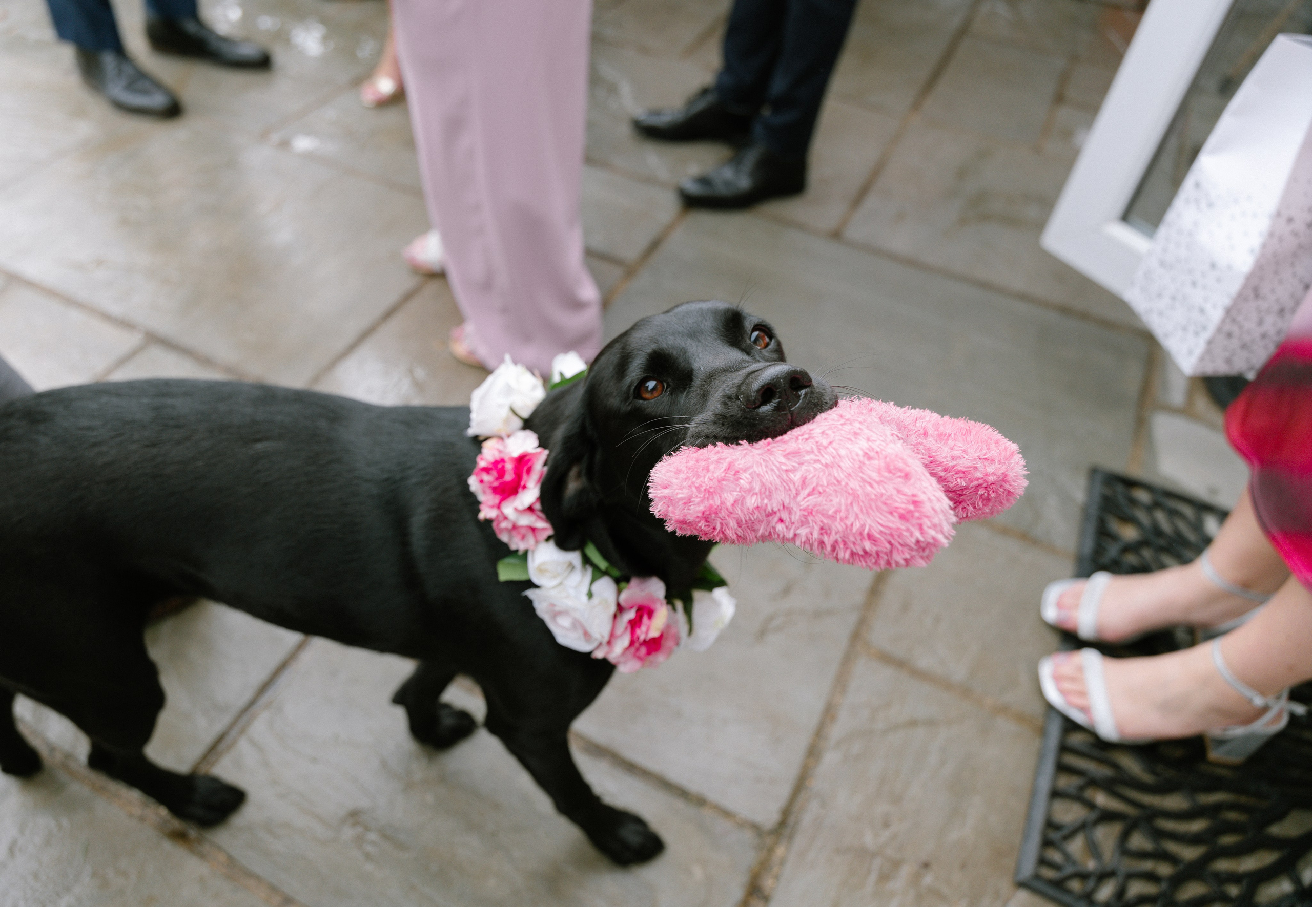 Intimate and emotional wedding. Timeless Wedding & Event Photography — based London, working across Europe