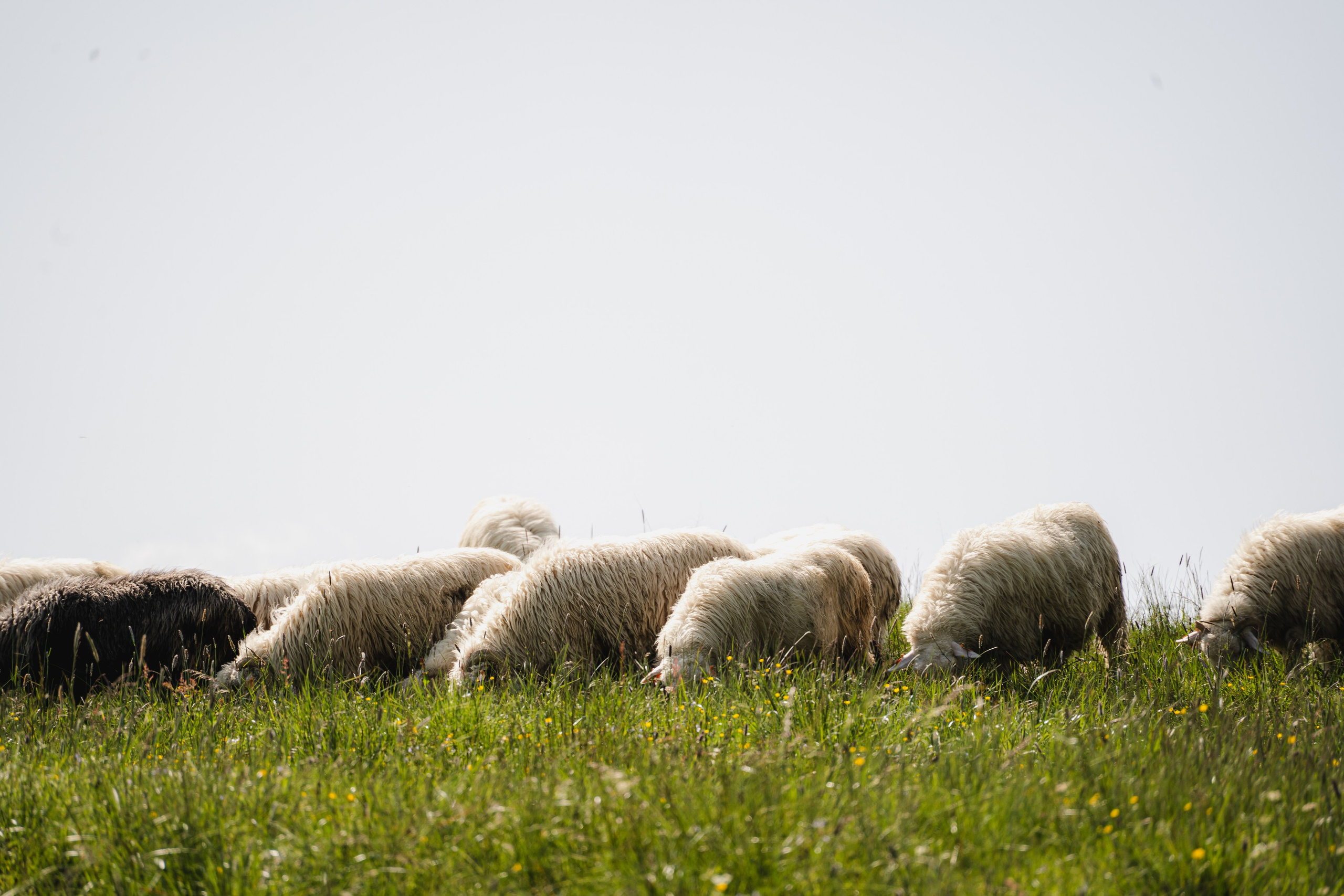 Ania Smol Fotograf Olsztyn