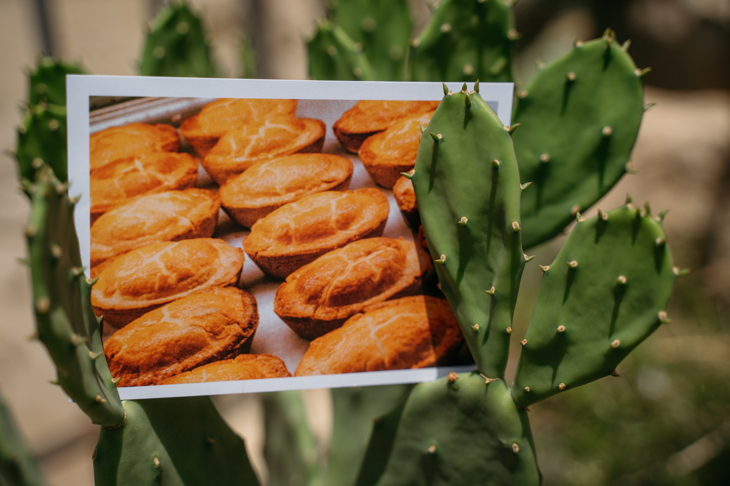 Postcards. Diana Fedrigo | Fotografa matrimoni in Italia