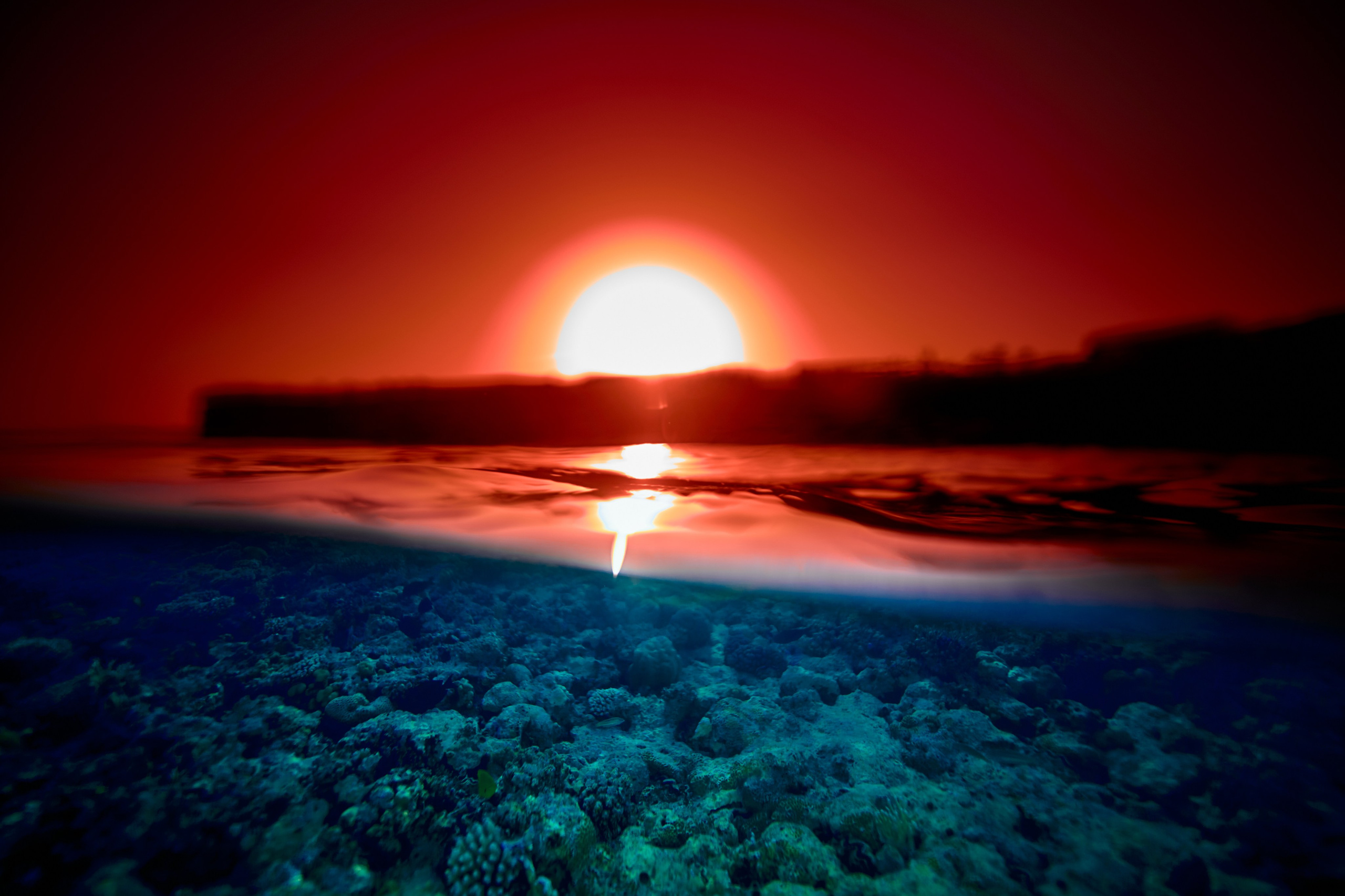 Podwodny fotograf - Andriej Szypilow - underwater photography. Tajemnica - wielka, głęboka i wszechobecna - to jest ta jakość, której przede wszystkim szukam w fotografii podwodnej...