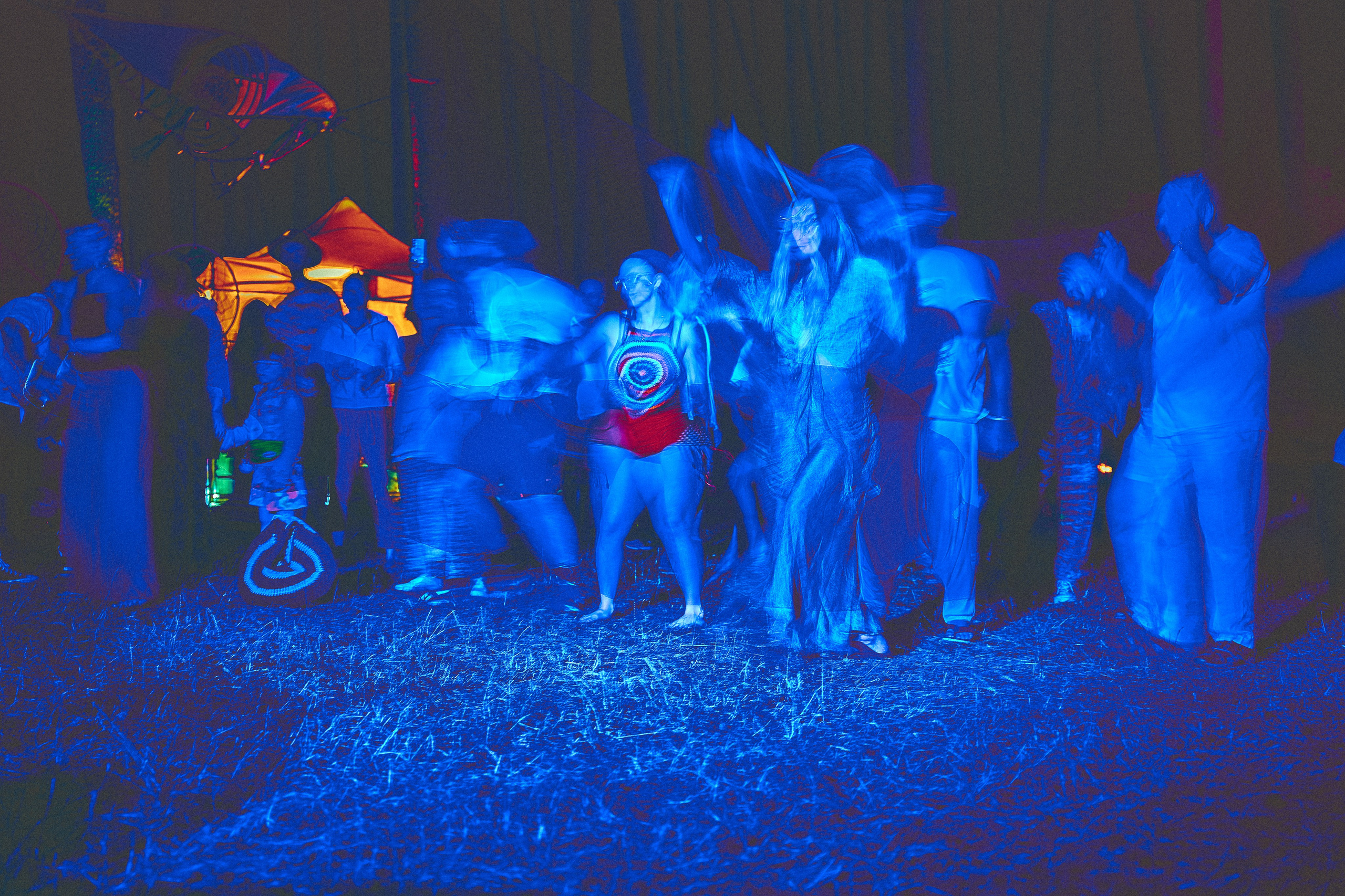 Organic-2025. Andriej Szypilow — Photography & Videography