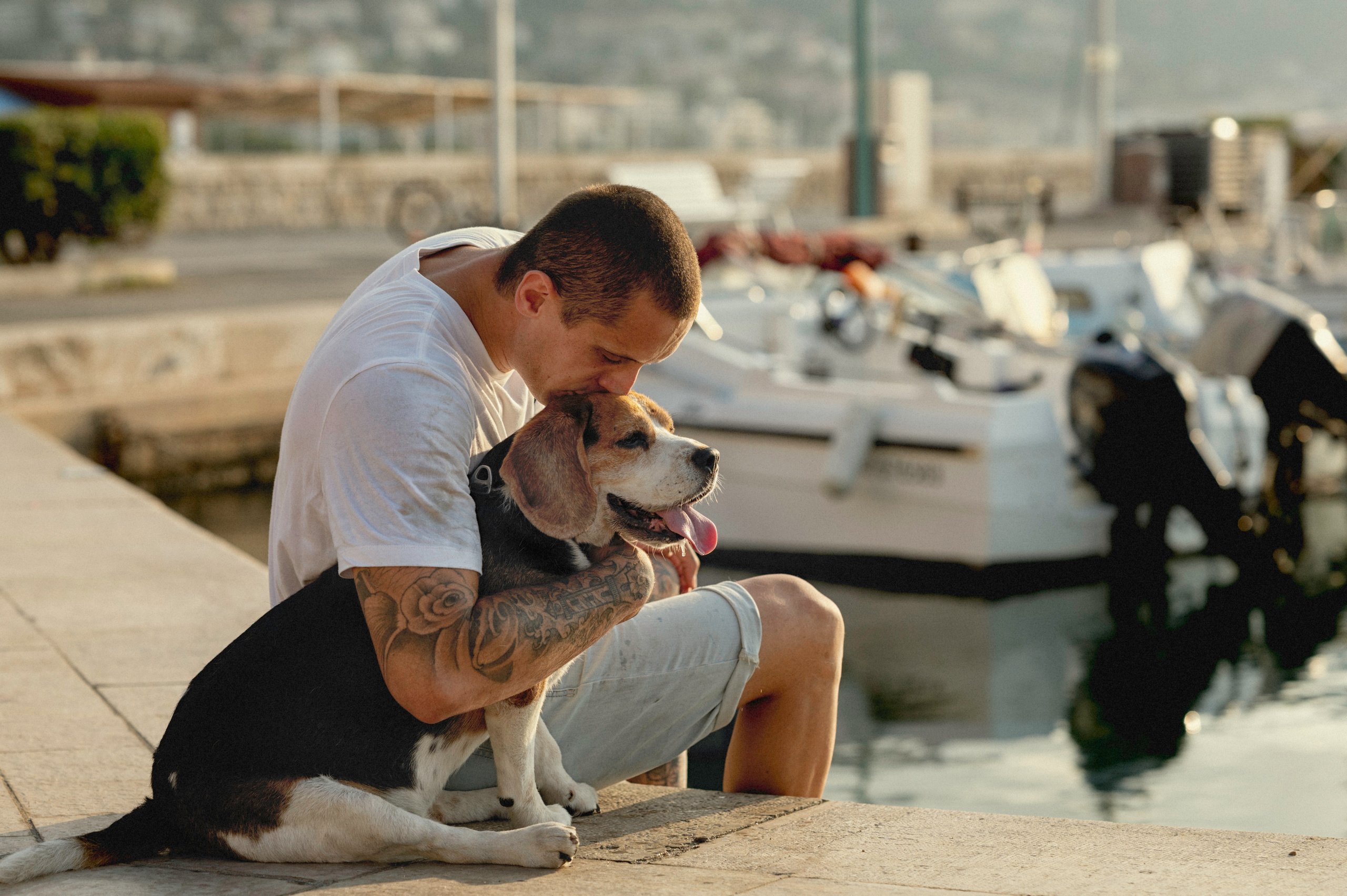 Собака с хозяином