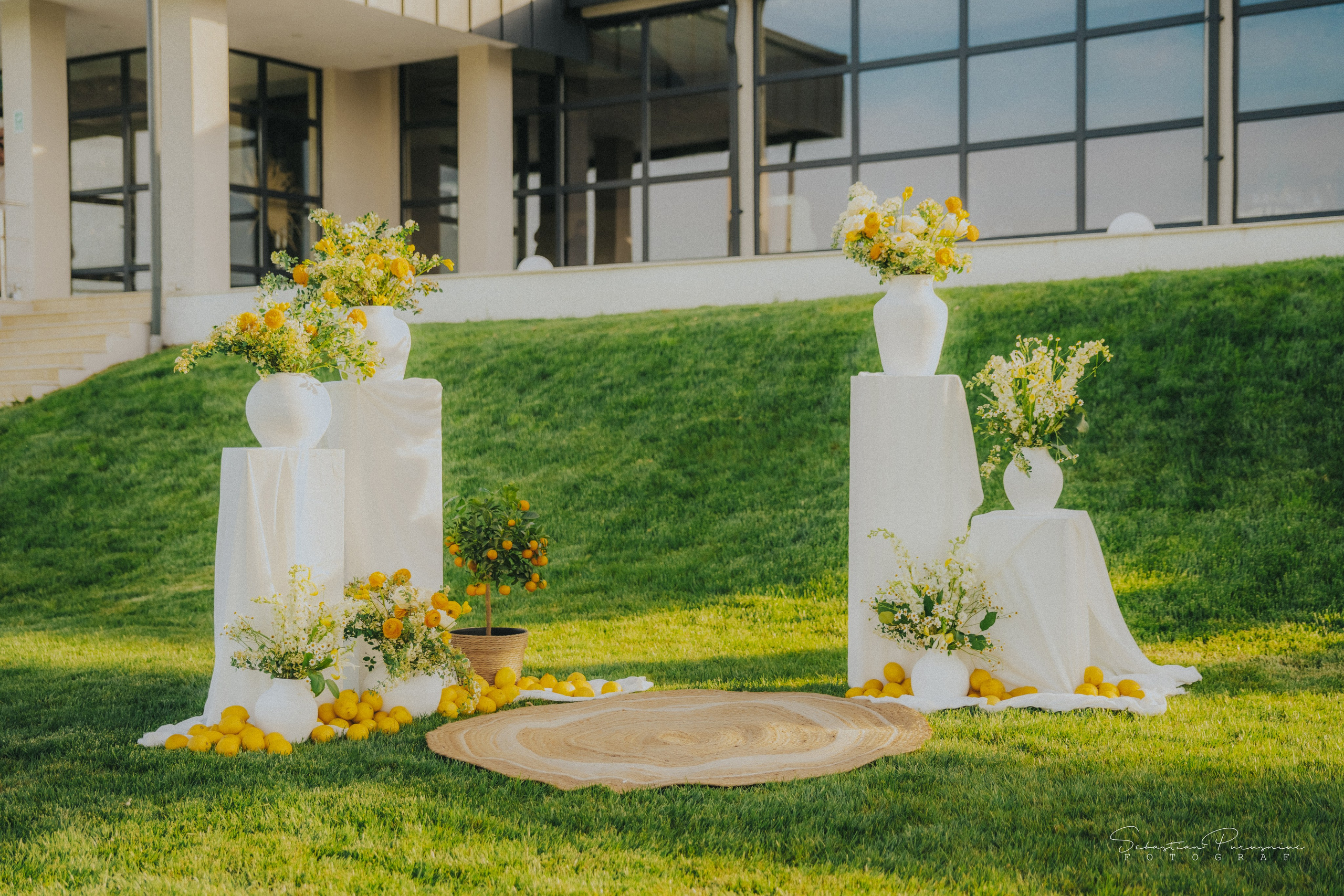 Love & Lemons. Sebastian Purusniuc Fotograf - Iasi