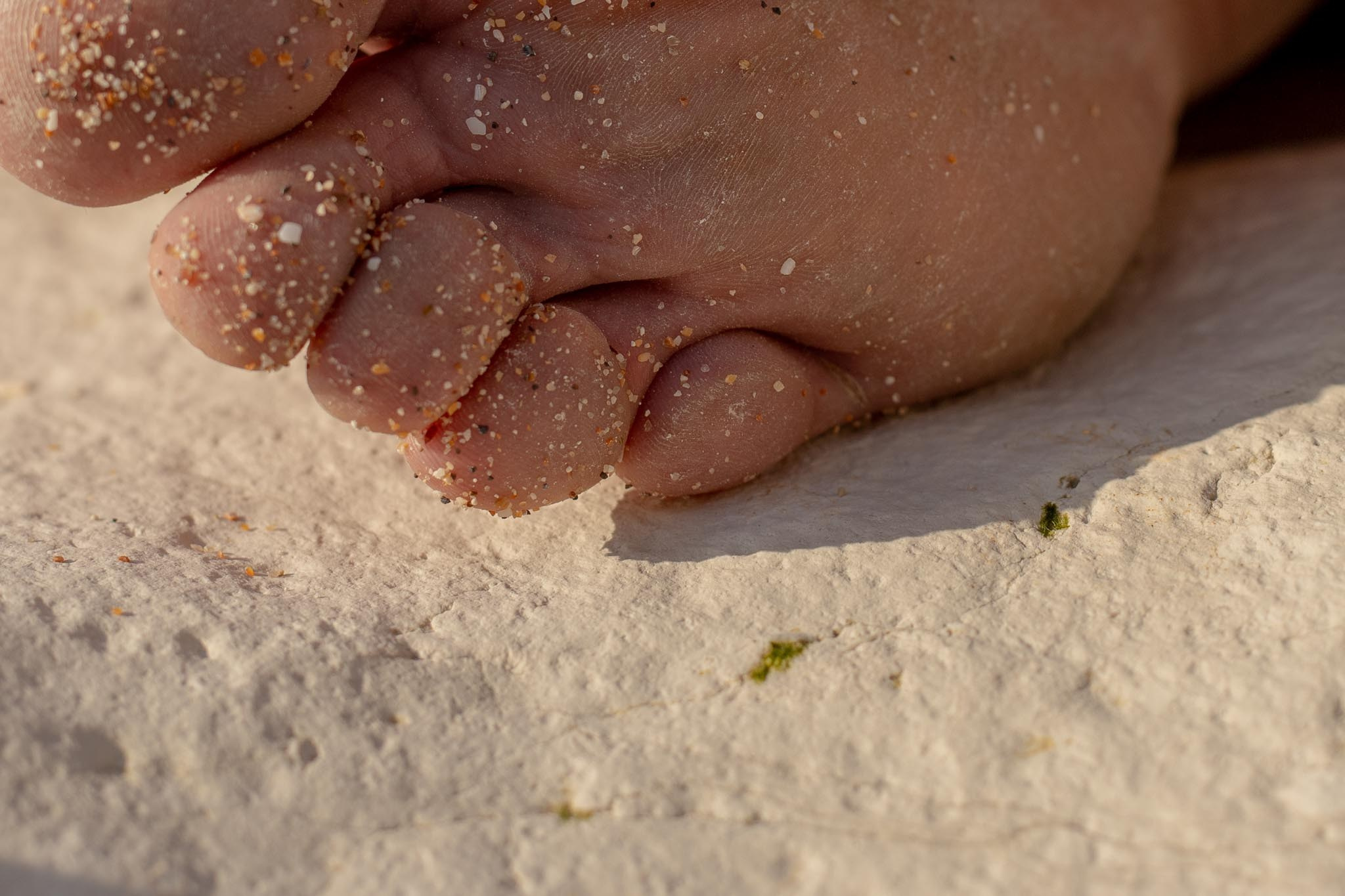 In Harmony with Nature. Natalja Poplavska — Visual artist, Photographer, East Sussex, London