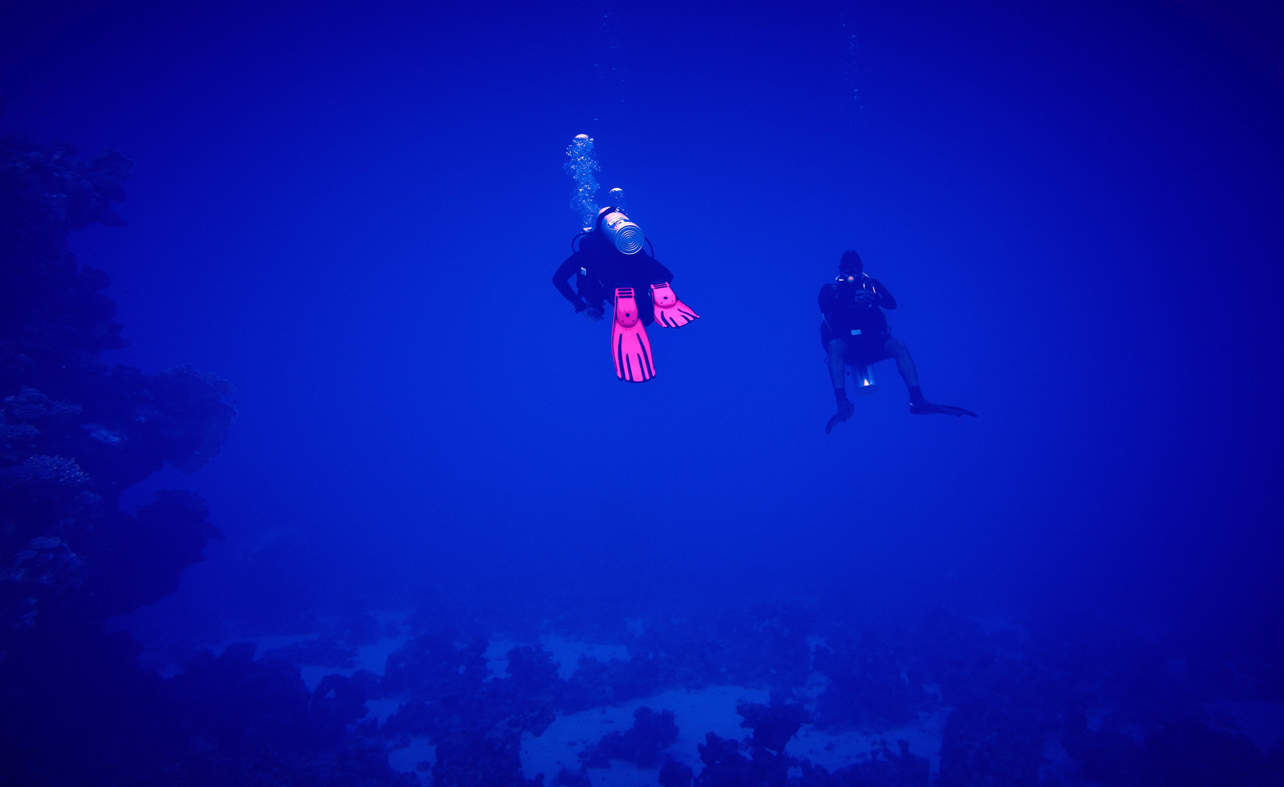 Podwodny fotograf - Andriej Szypilow - underwater photography. Tajemnica - wielka, głęboka i wszechobecna - to jest ta jakość, której przede wszystkim szukam w fotografii podwodnej...