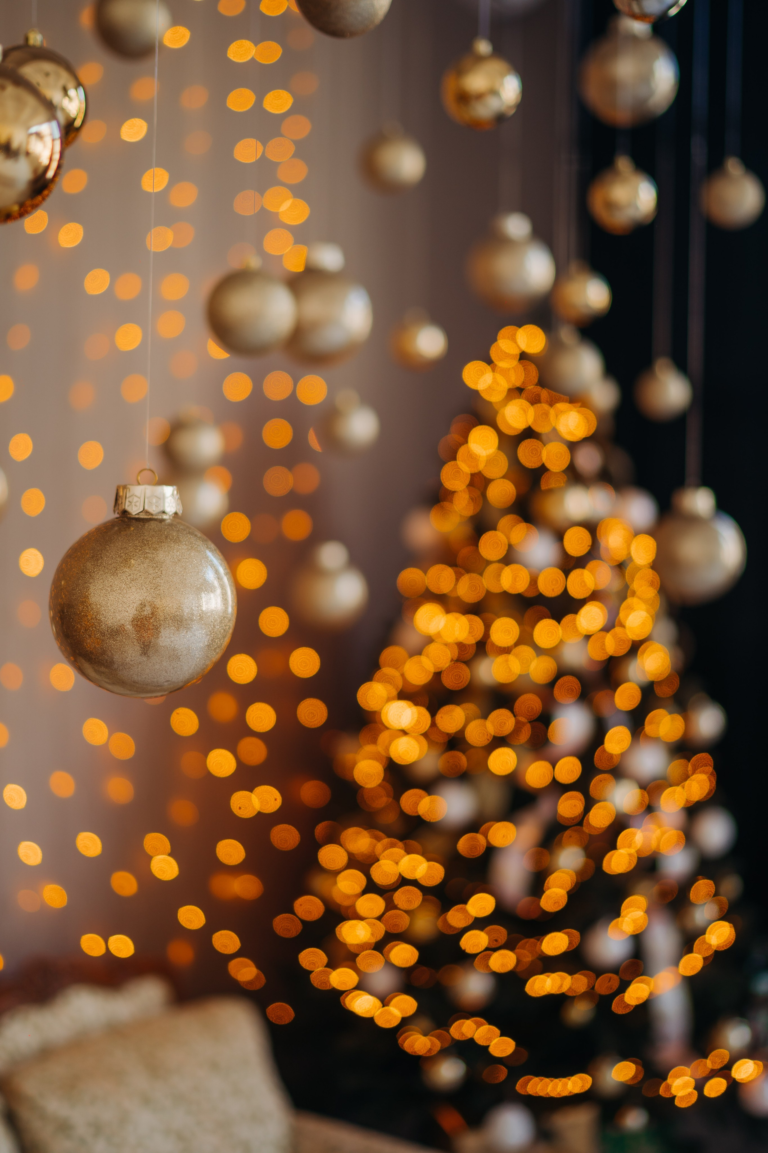 Ședința foto de Crăciun. Diana Muntean Photography