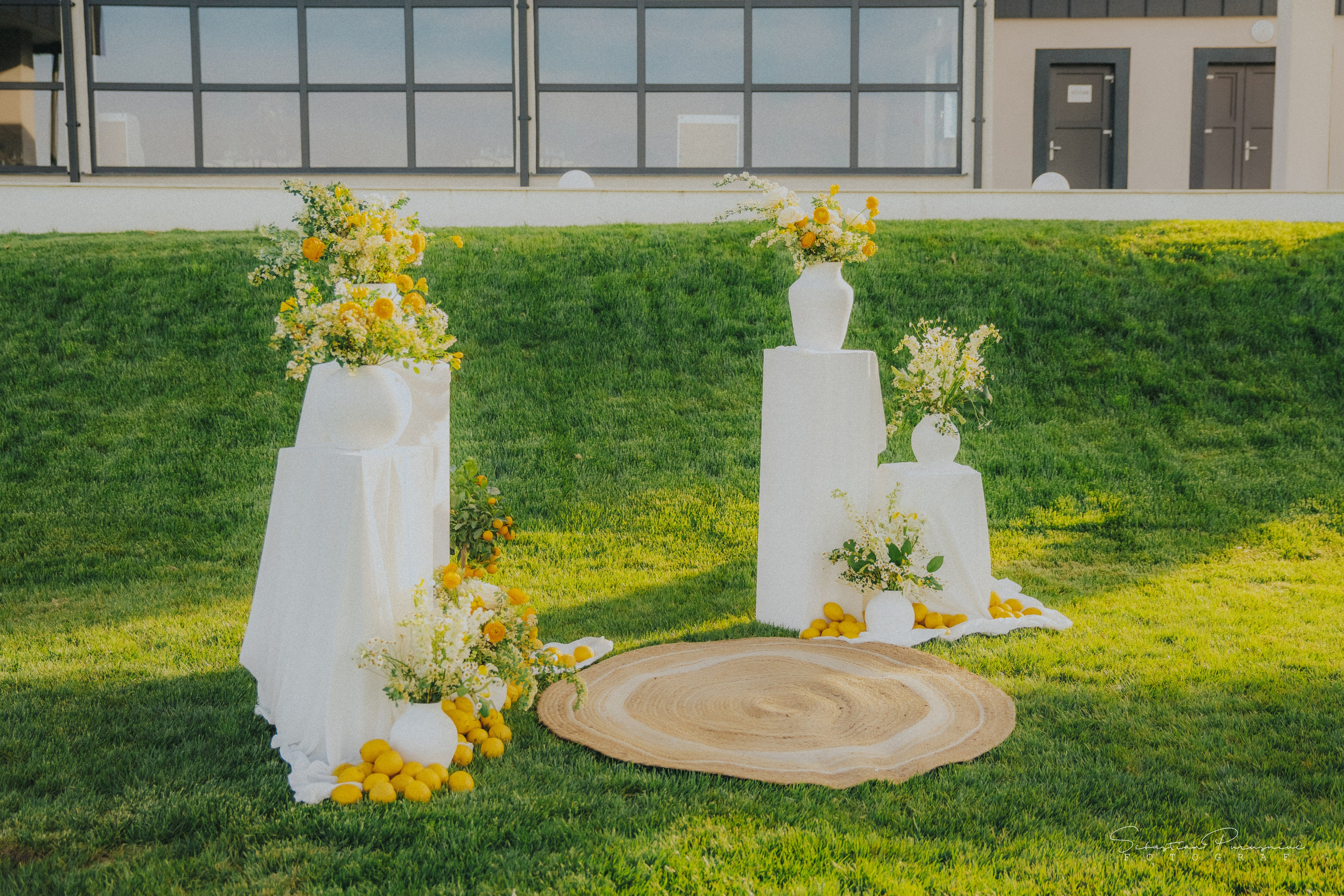 Love & Lemons. Sebastian Purusniuc Fotograf - Iasi