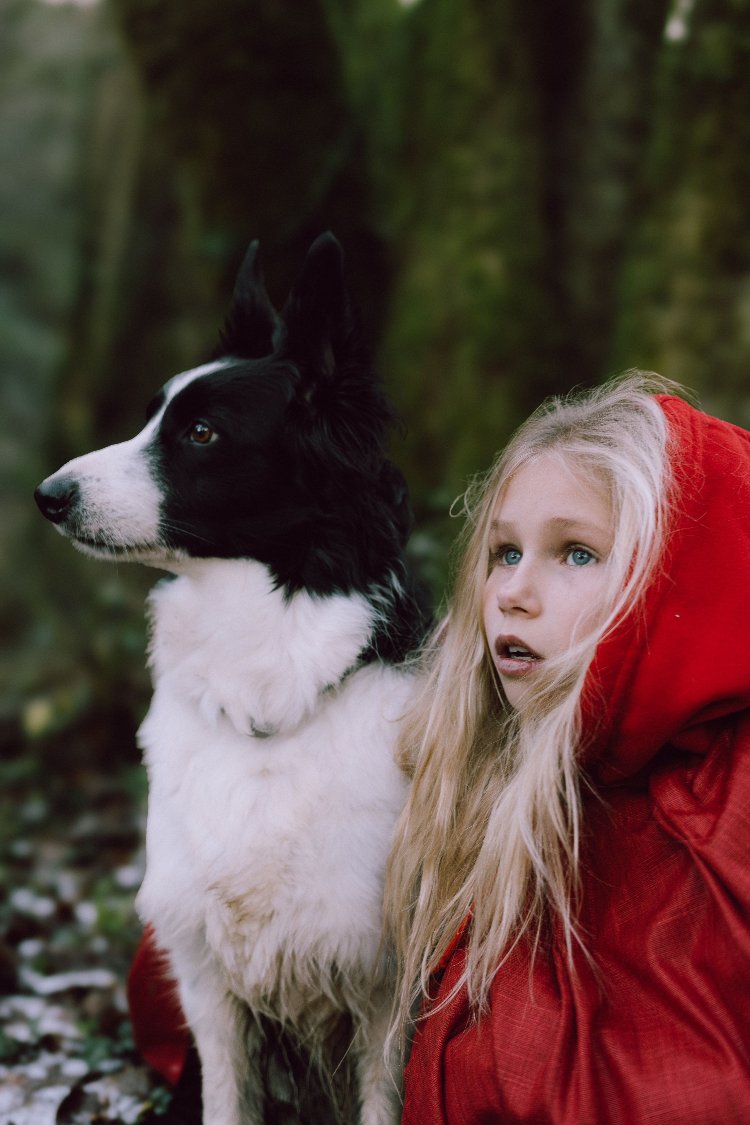 Little Red Hood. Diana Fedrigo | Fotografa matrimoni in Italia