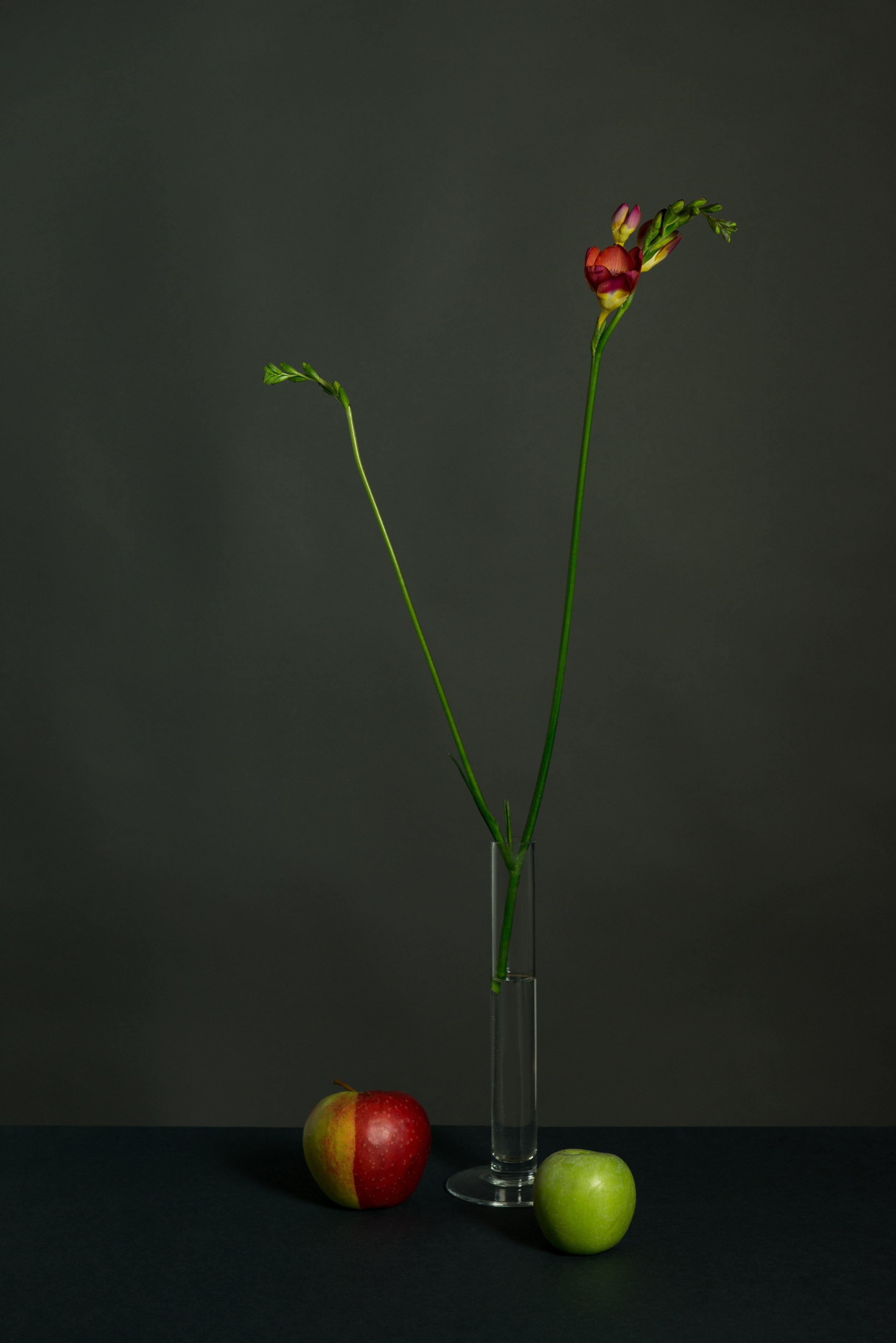 Narcissists 2017. Photographe de produits et natures mortes à Paris