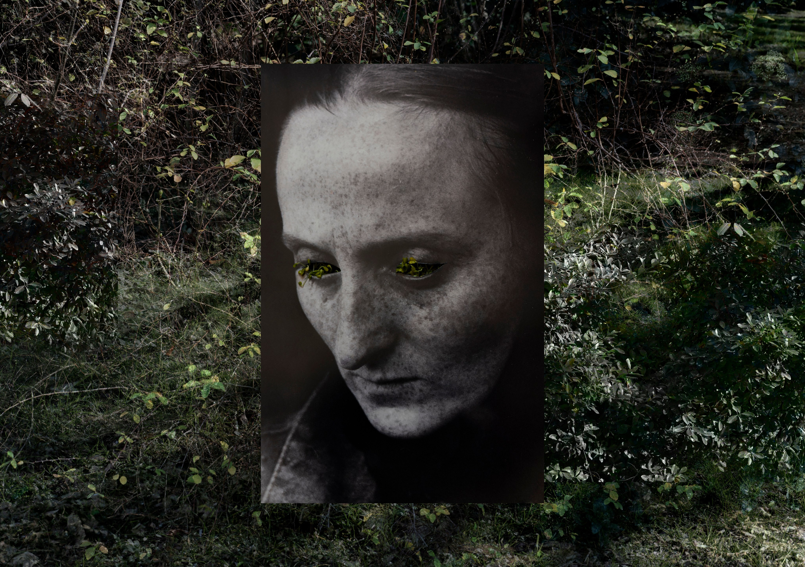 COME INSIDE. Irène Shkoda