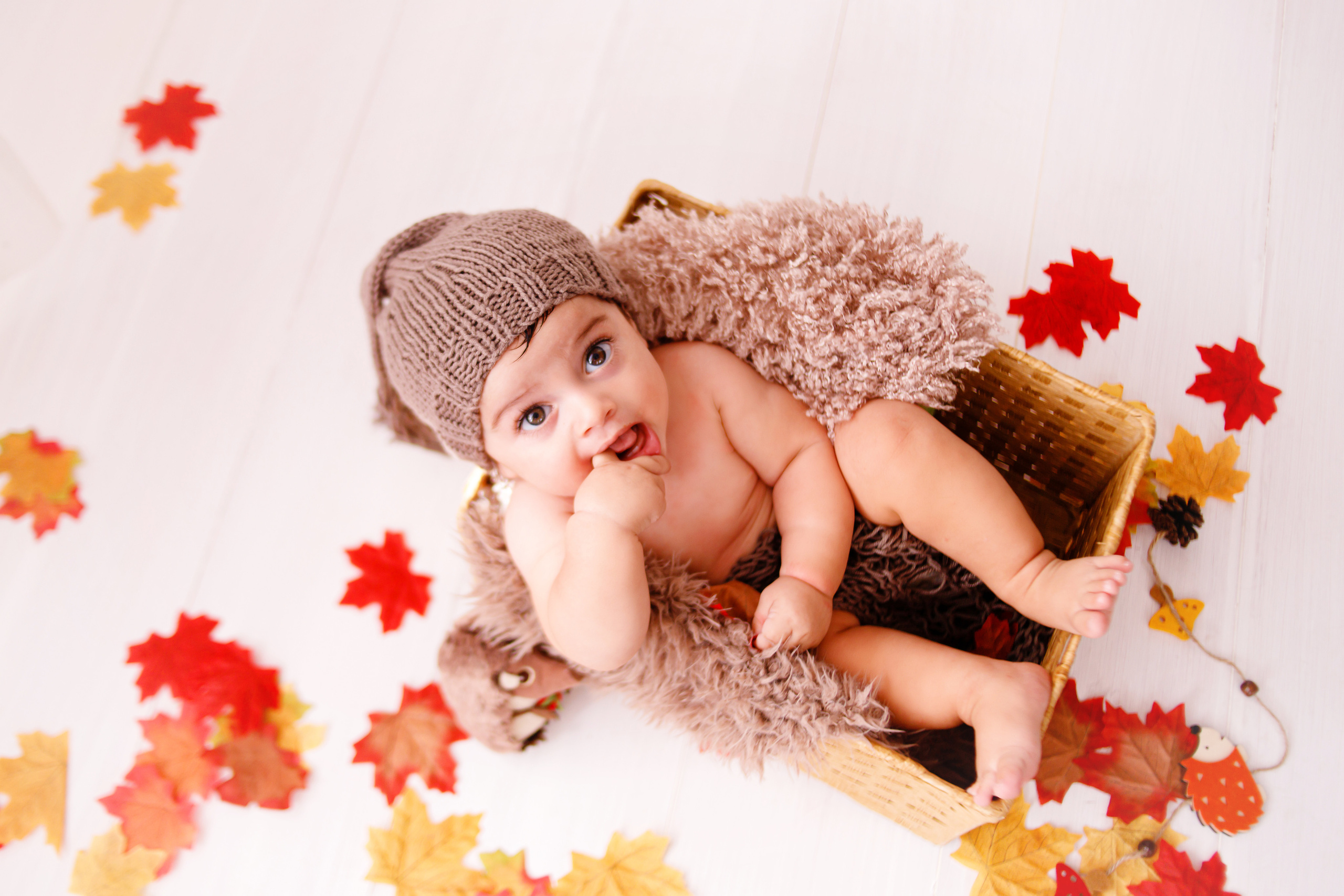 Bebè. I vostri ricordi più preziosi