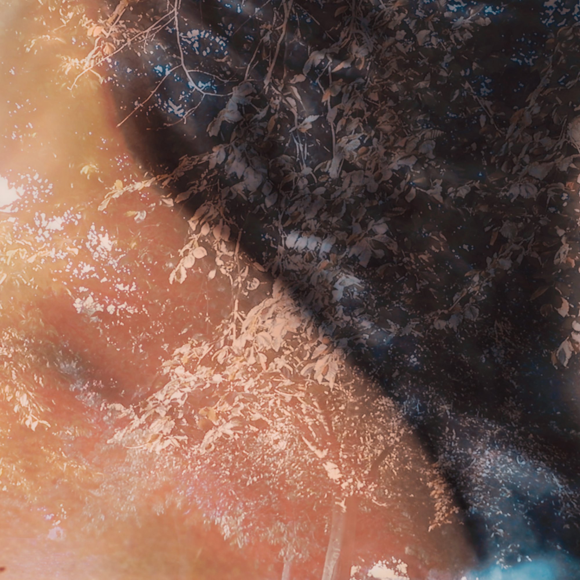 Fine art print merging abstract forms and intimate personal narratives