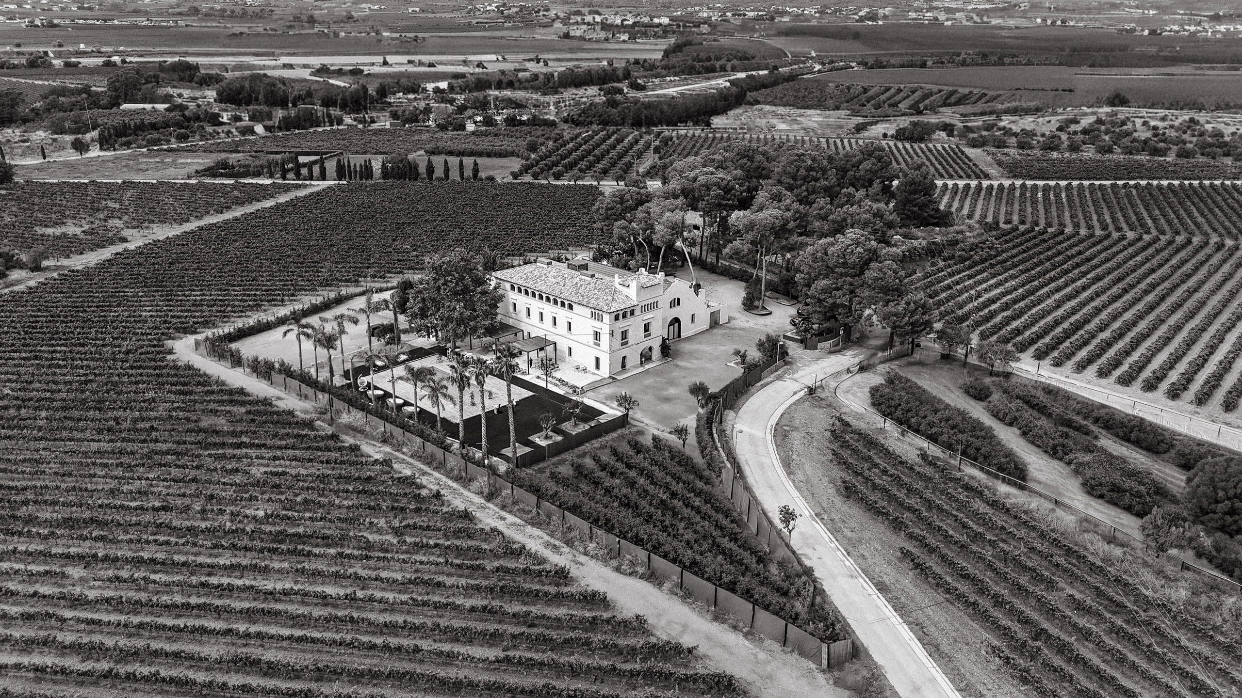 Paola wedding photographer / videographer in Barcelona