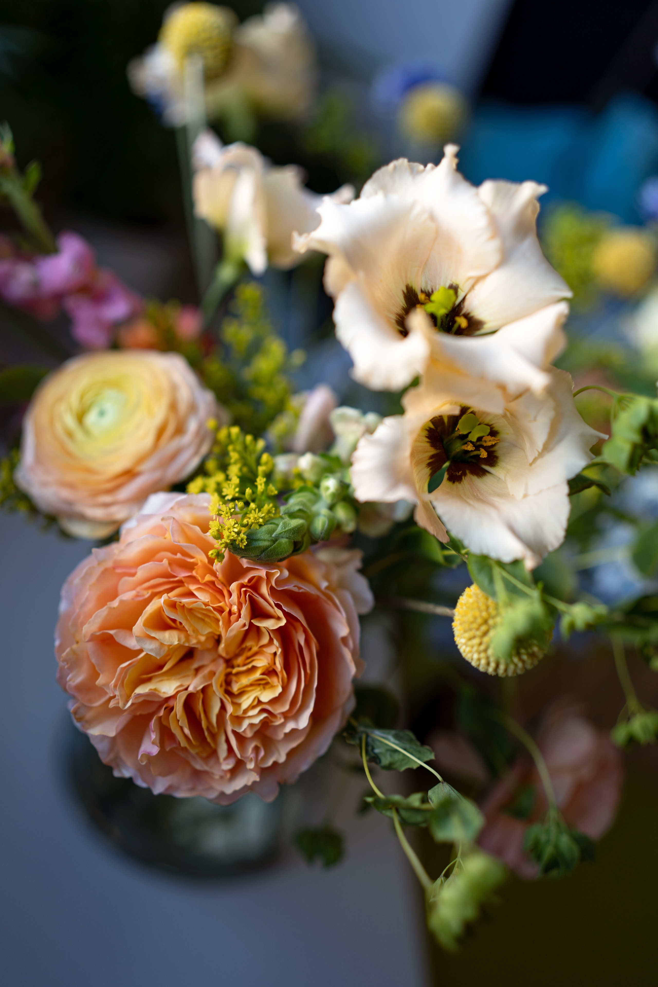 Flowers. Photographer in Madrid, Spain. Alyona Belyaninova
