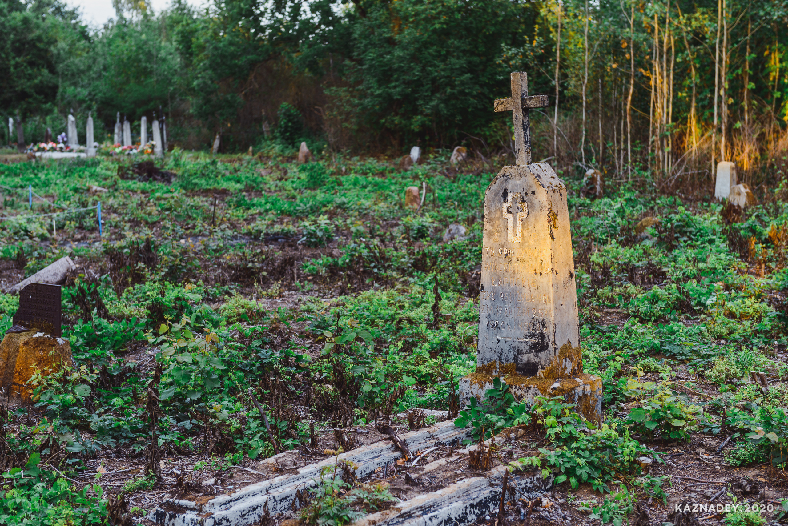 Дорога тишины, Алексей Казнадей, kaznadey