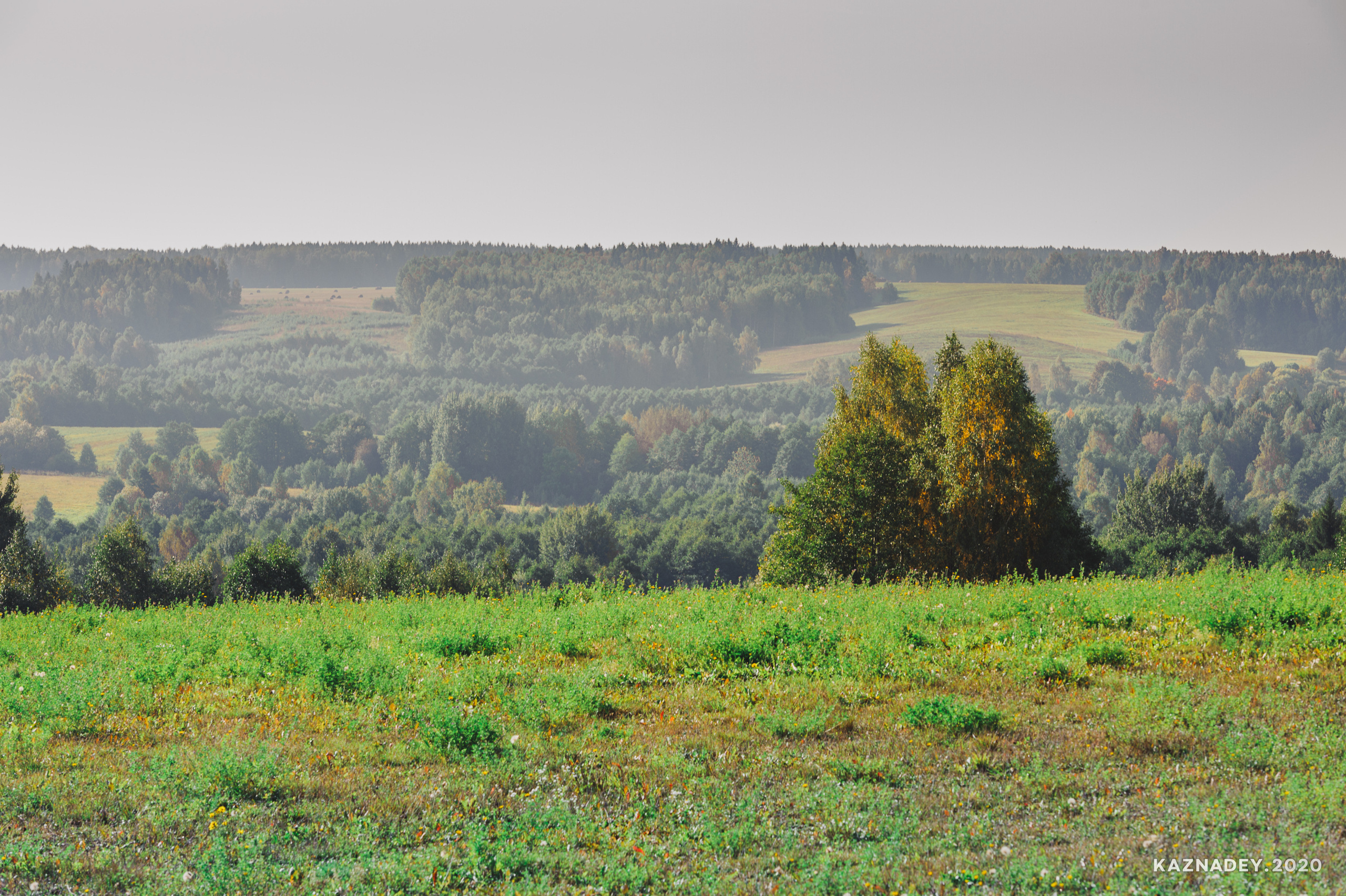 Дорога тишины, Алексей Казнадей, kaznadey