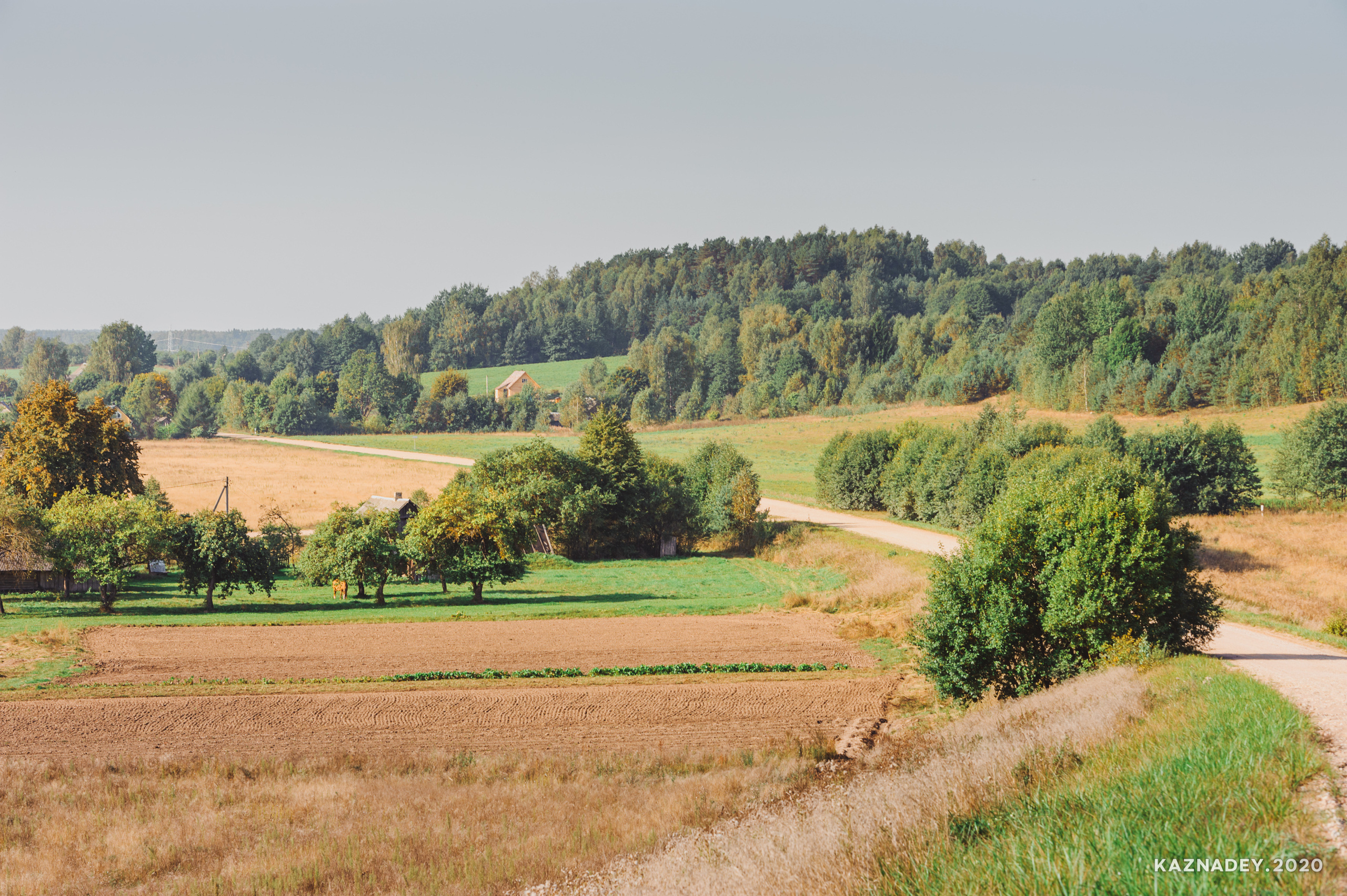 Дорога тишины, Алексей Казнадей, kaznadey