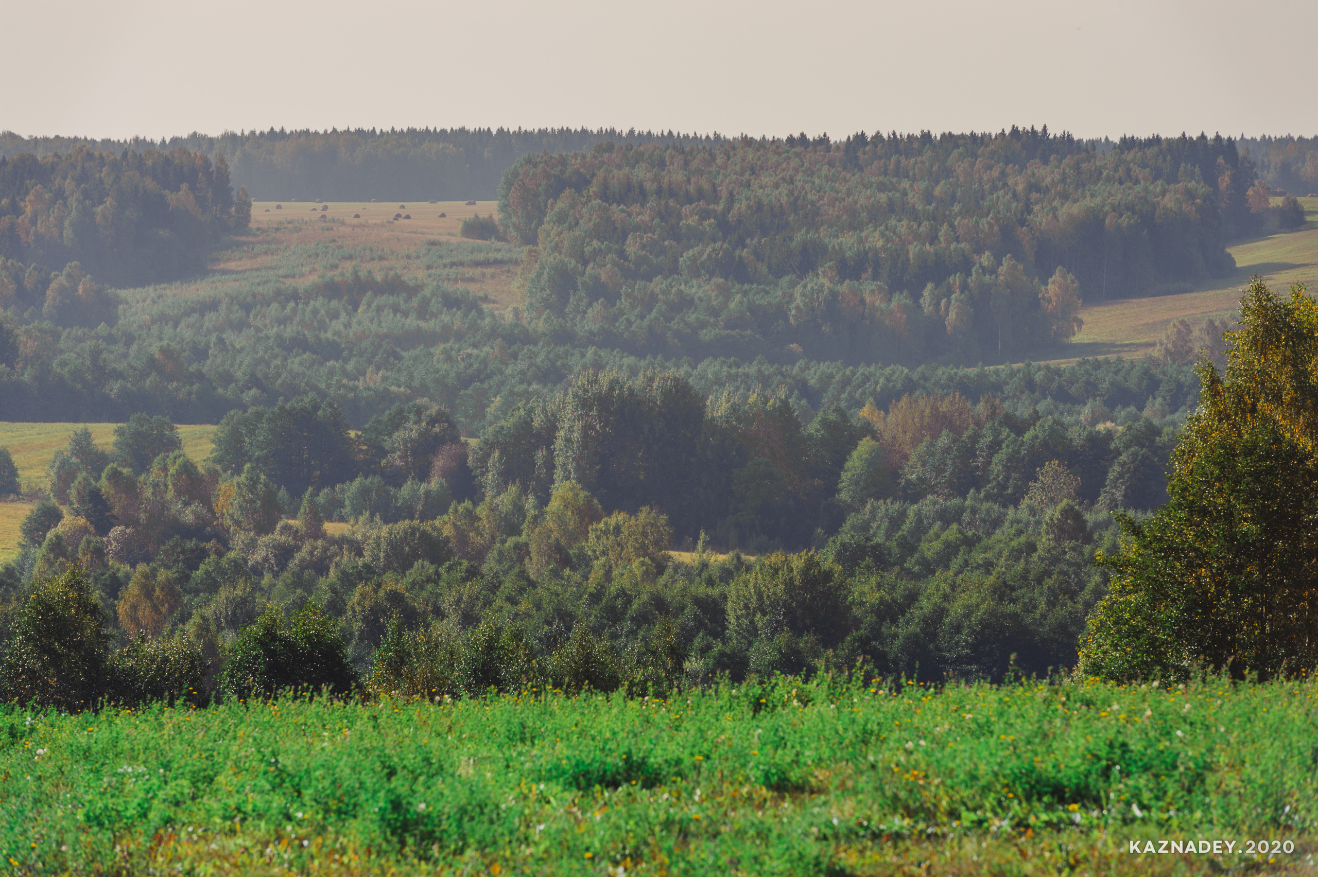Дорога тишины, Алексей Казнадей, kaznadey