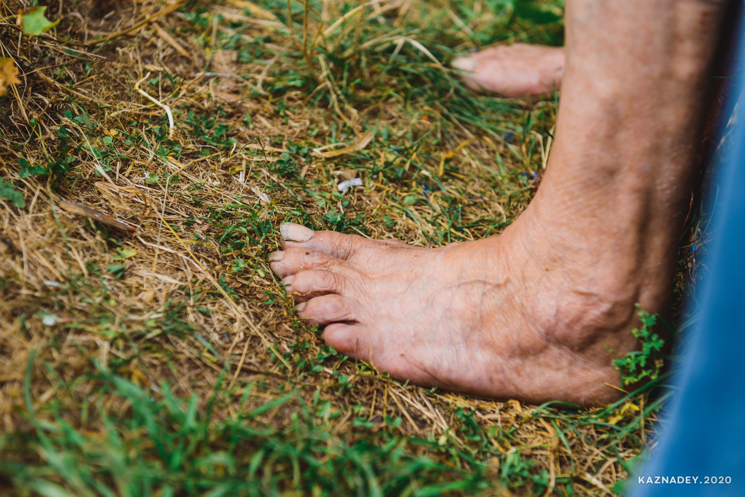 Дорога тишины, Алексей Казнадей, kaznadey