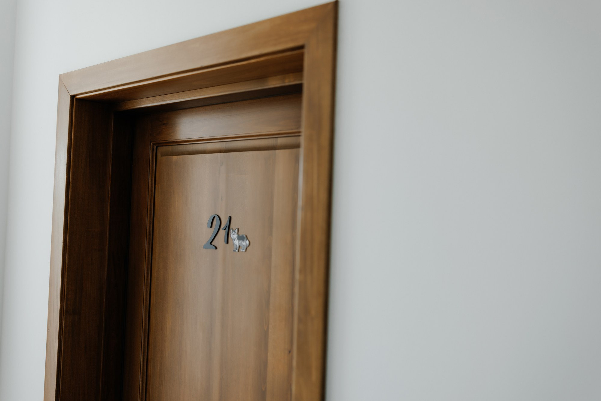 Andrei si Adelina. Fotograf și videograf de nuntă R. Moldova, Romania