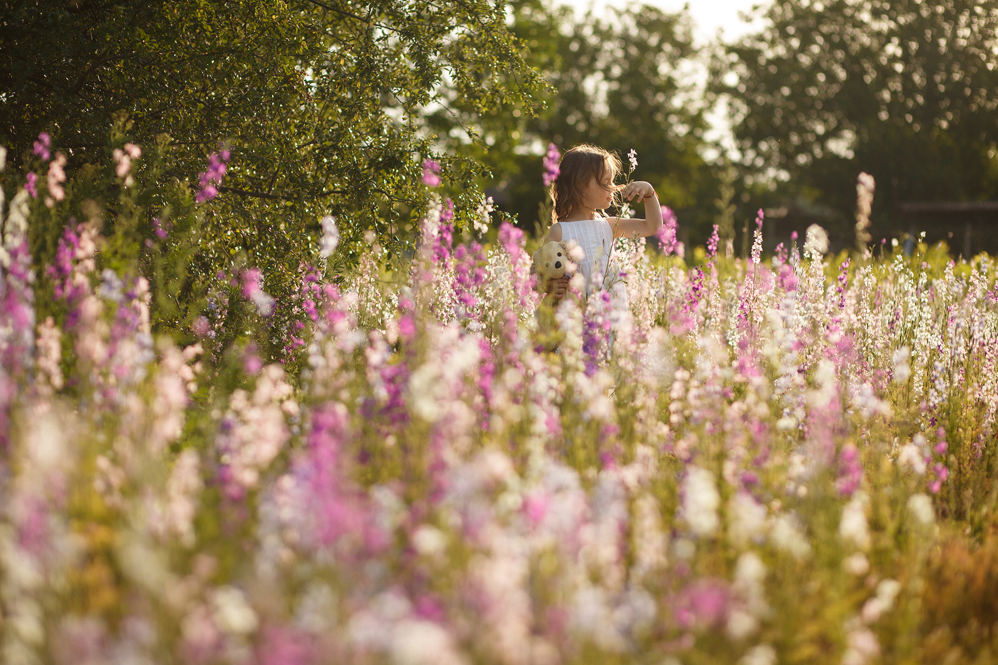 Sofy. Fotograf de nuntă și de familie — Dinu Bargan