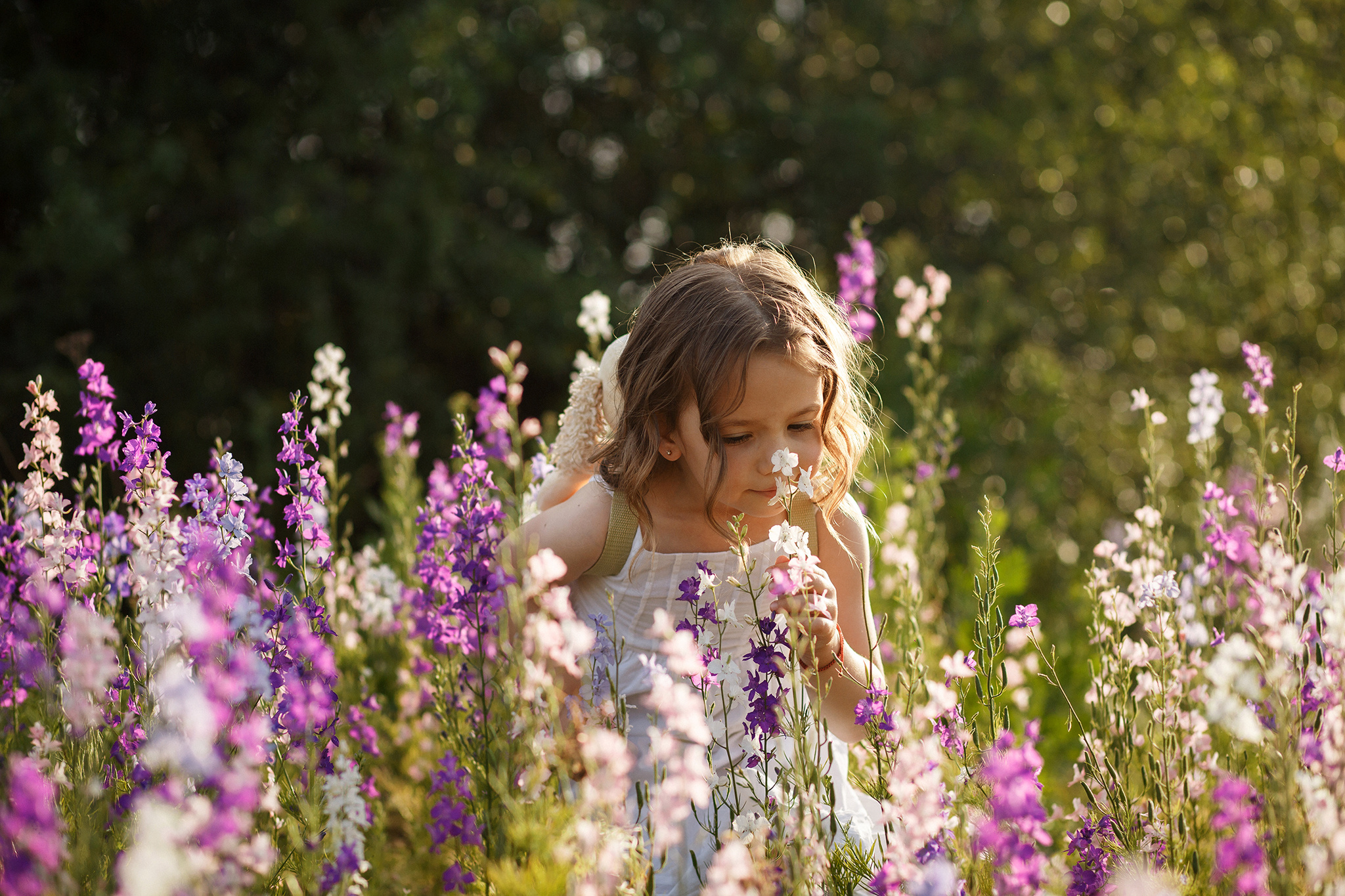 Sofy. Fotograf de nuntă și de familie — Dinu Bargan