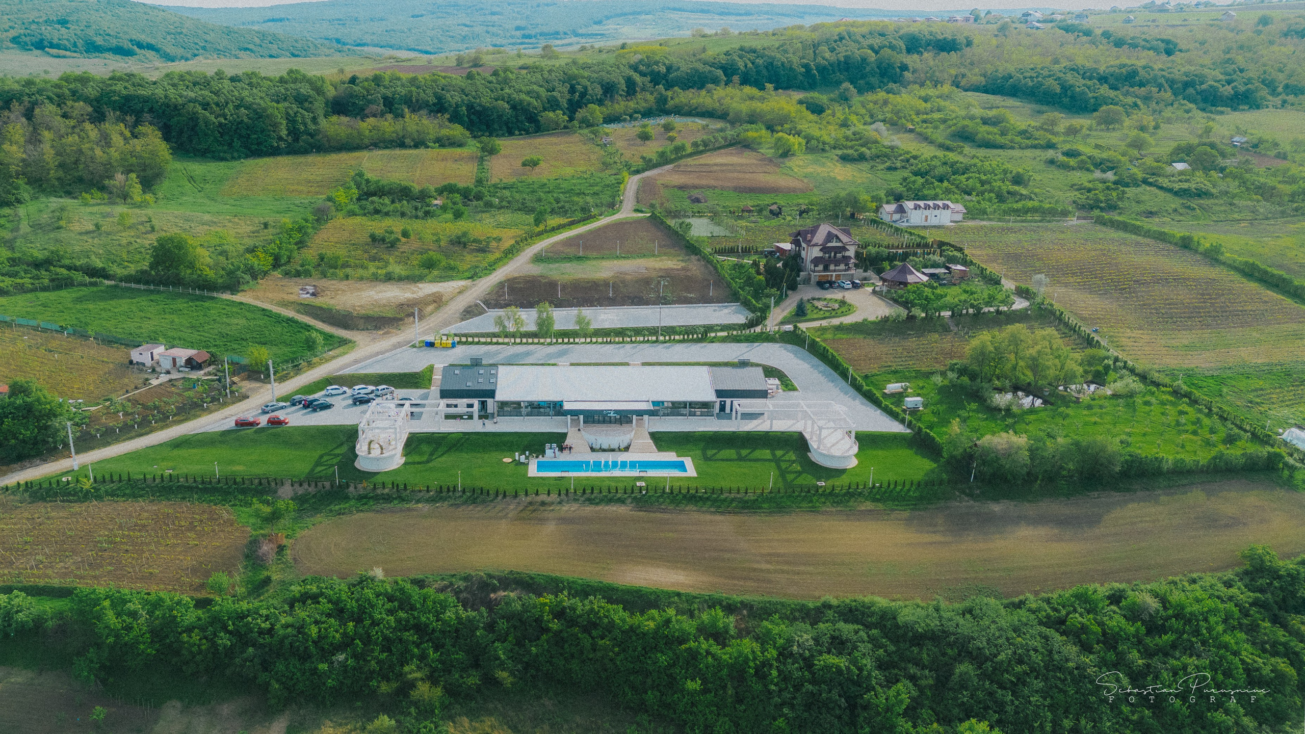Love & Lemons. Sebastian Purusniuc Fotograf - Iasi
