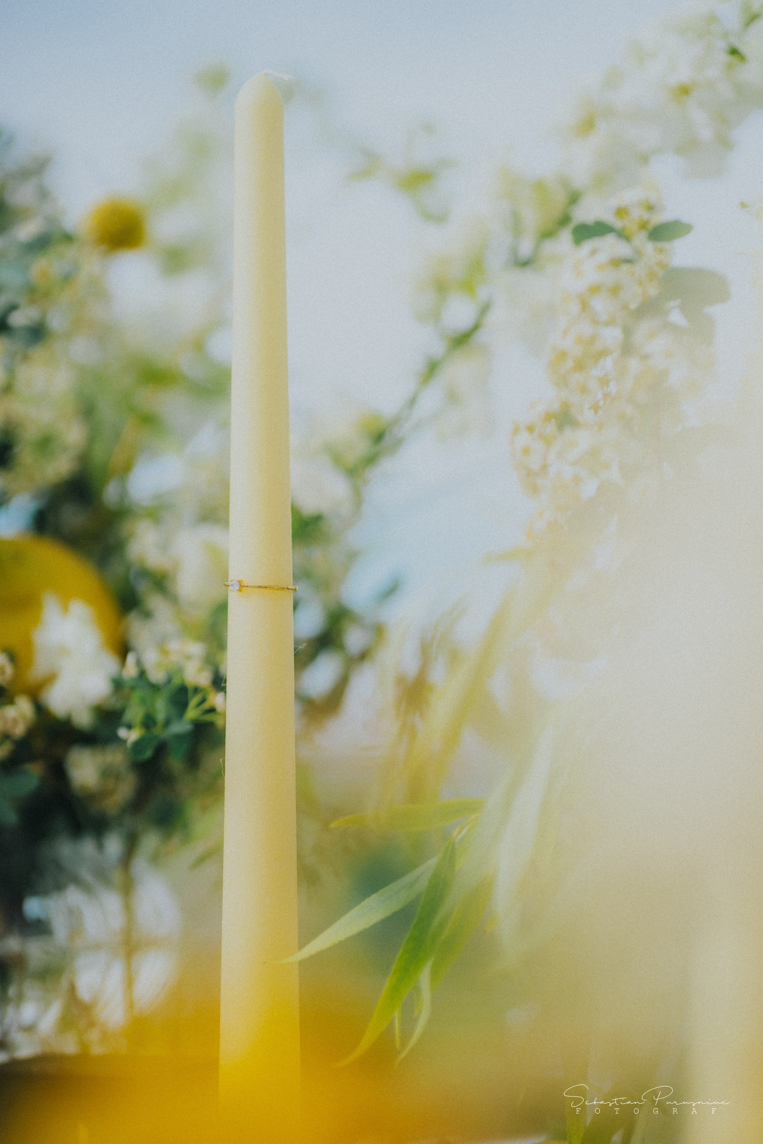 Love & Lemons. Sebastian Purusniuc Fotograf - Iasi