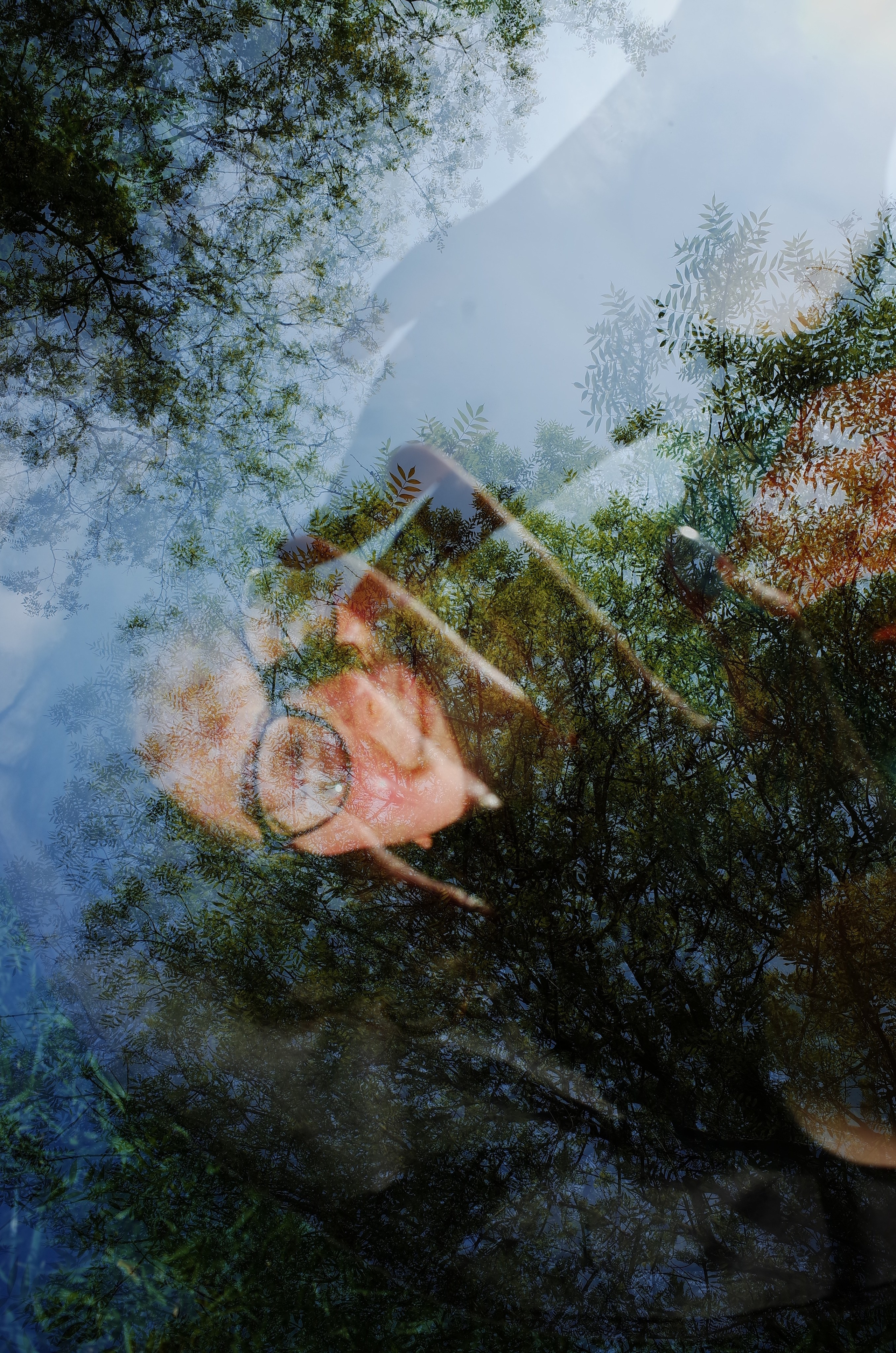 Гербарий. Виктория Дини. Арт-фотография