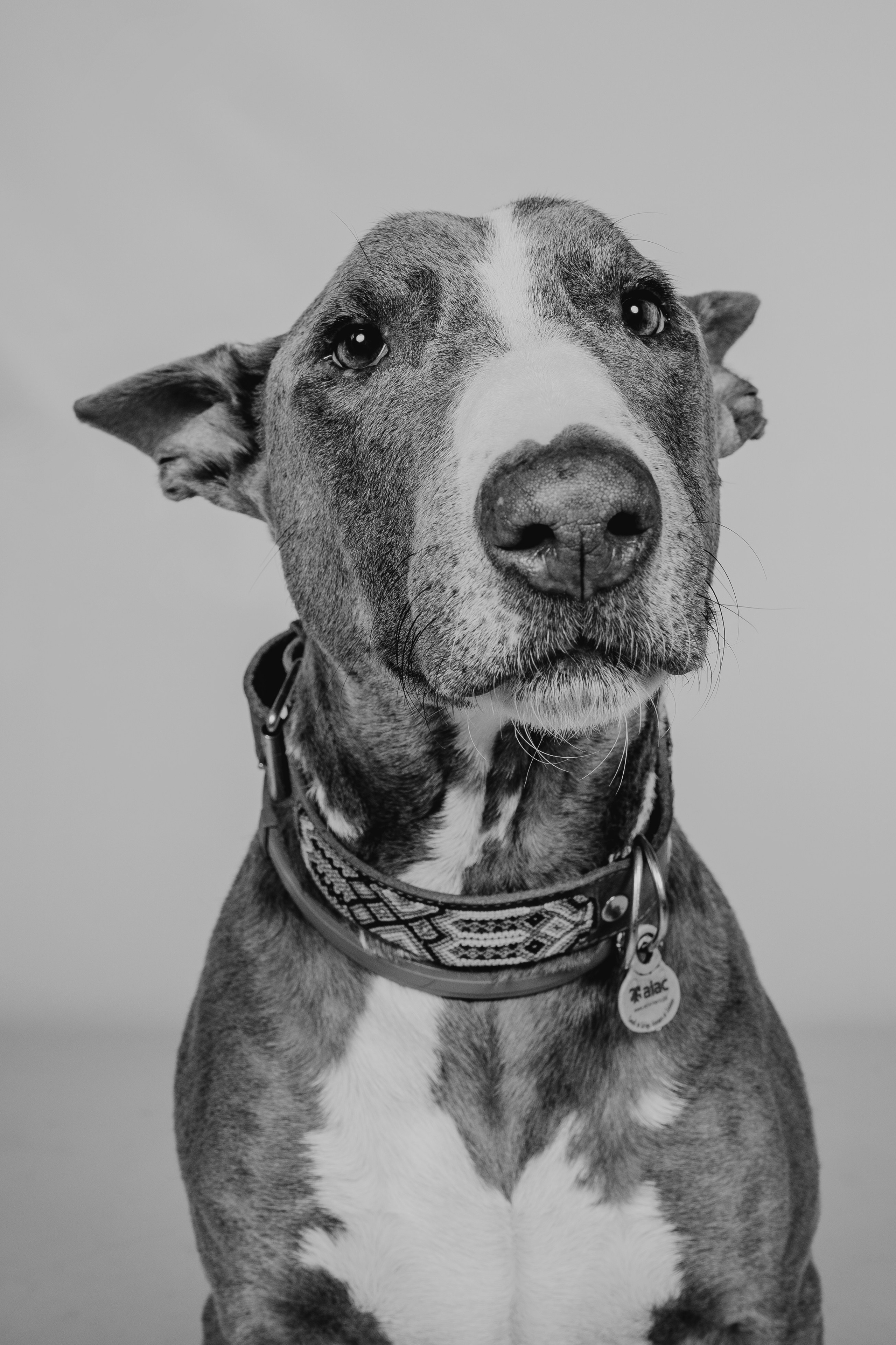 «Los recuerdos más valiosos merecen ser capturados con amor y calidad. En Rainbox Estudio en Torrejón de Ardoz inmortalizamos los momentos más especiales de tu vida con una experiencia cálida, profesional y cercana.»