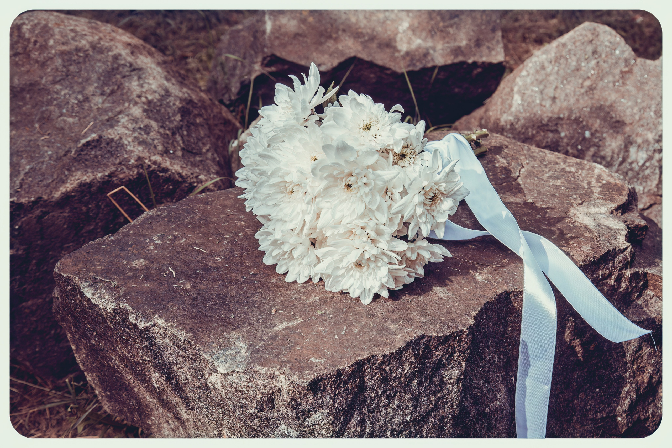 Studio „Fantezia”