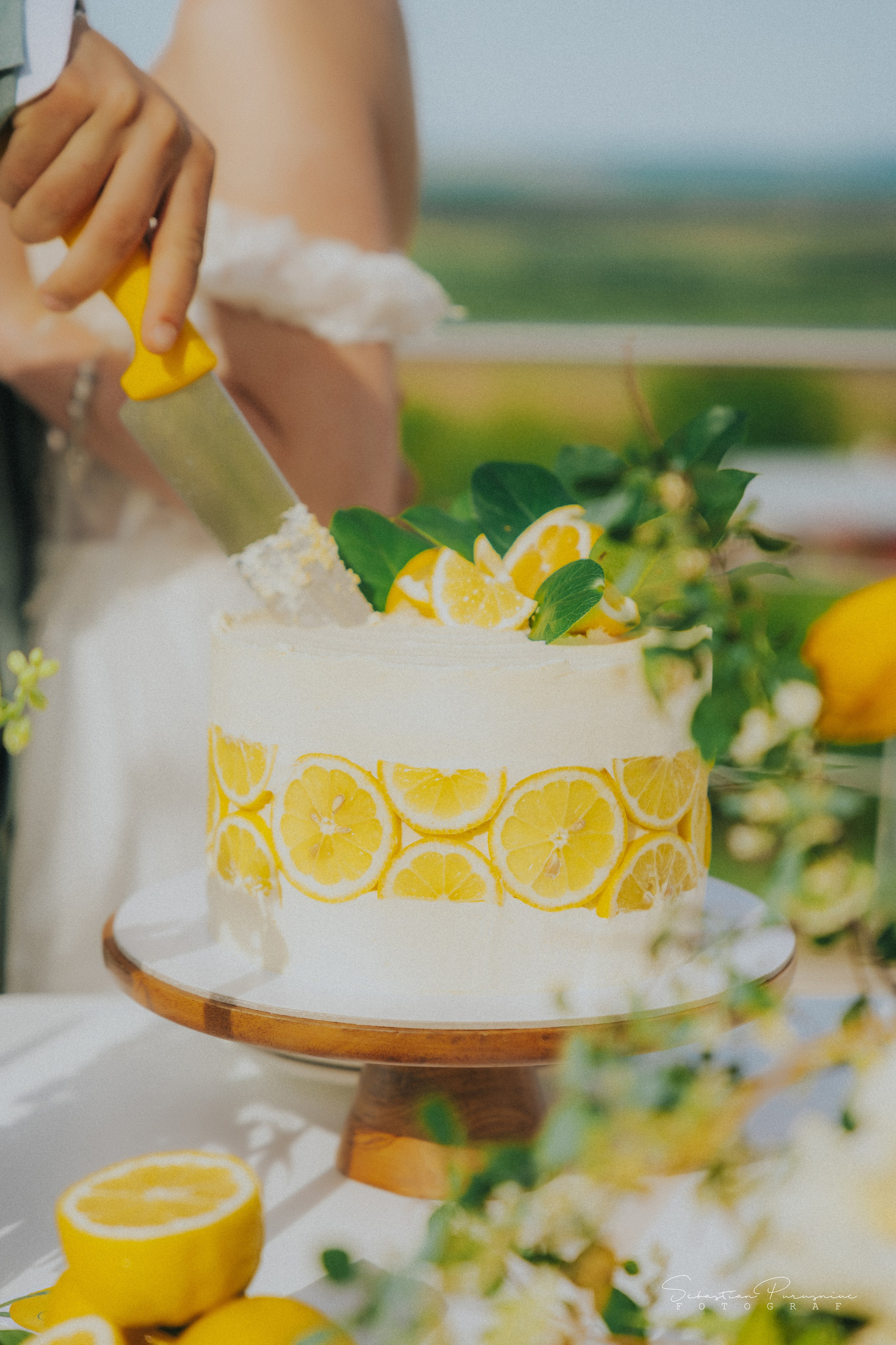 Love & Lemons. Sebastian Purusniuc Fotograf - Iasi