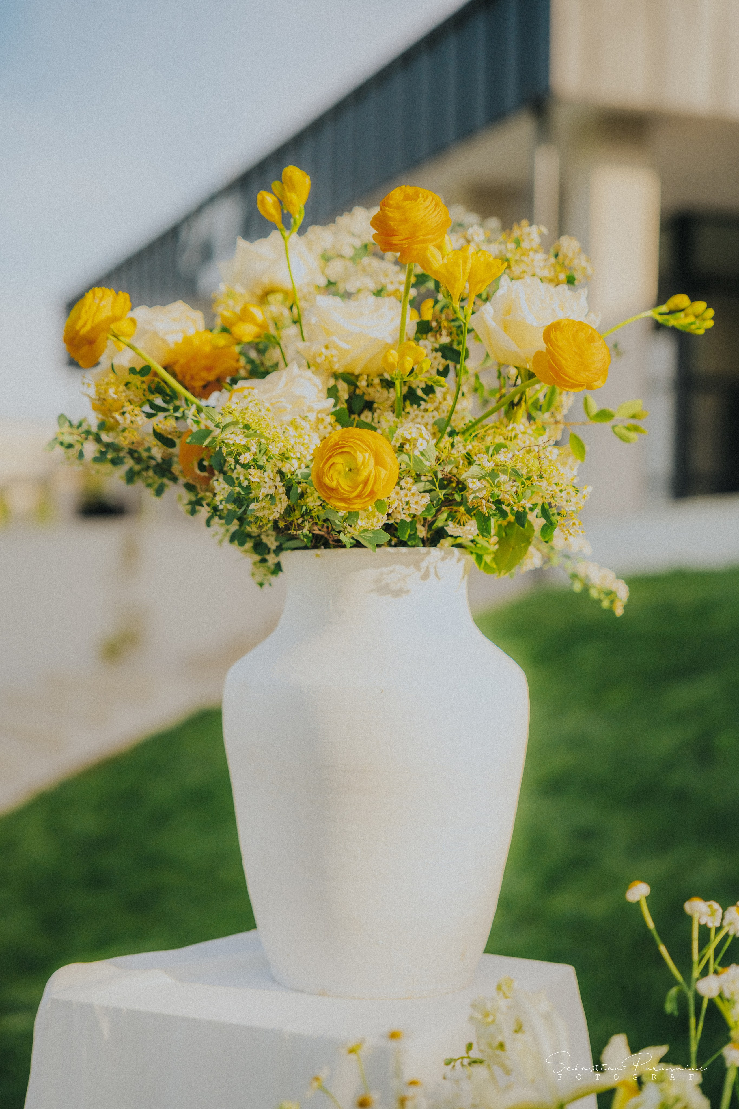 Love & Lemons. Sebastian Purusniuc Fotograf - Iasi