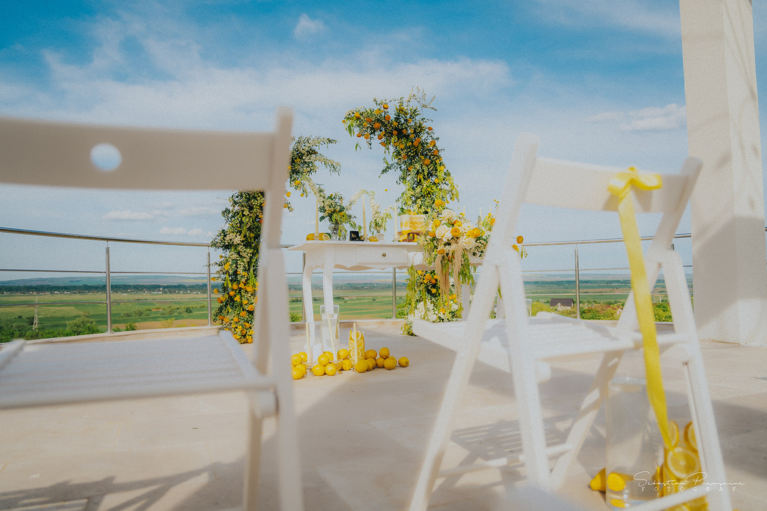 Love & Lemons. Sebastian Purusniuc Fotograf - Iasi